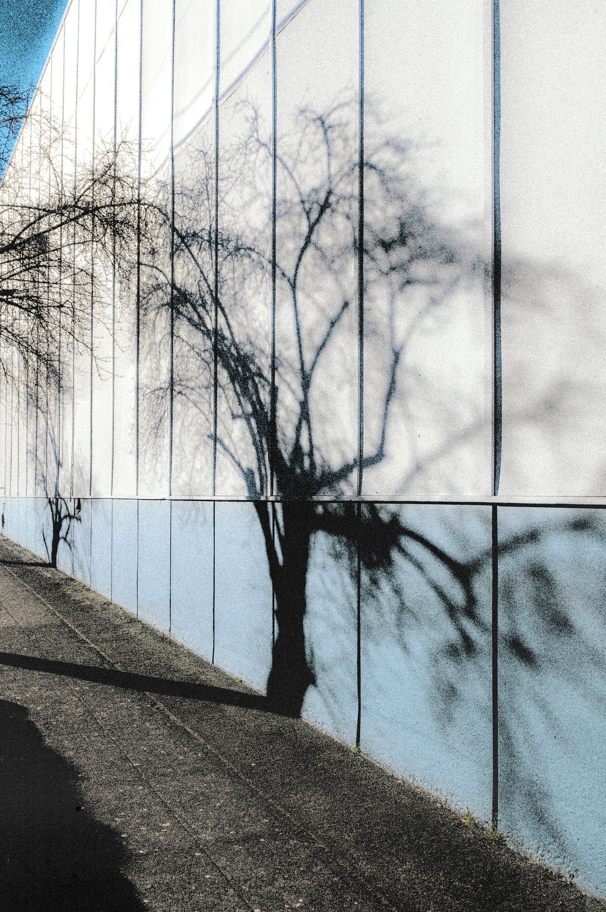 Screenshot 2026-03-02 at 1.19.05 AM.png