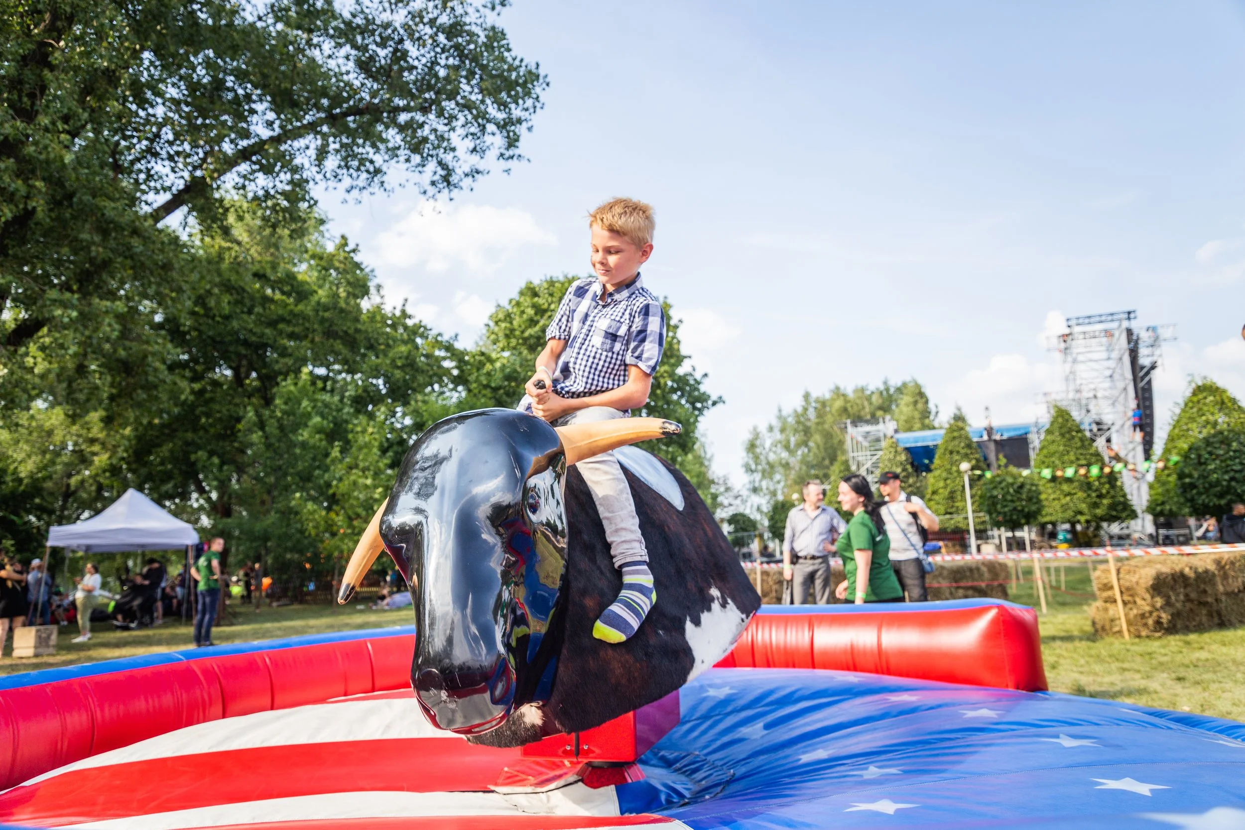 Bull rides .jpg