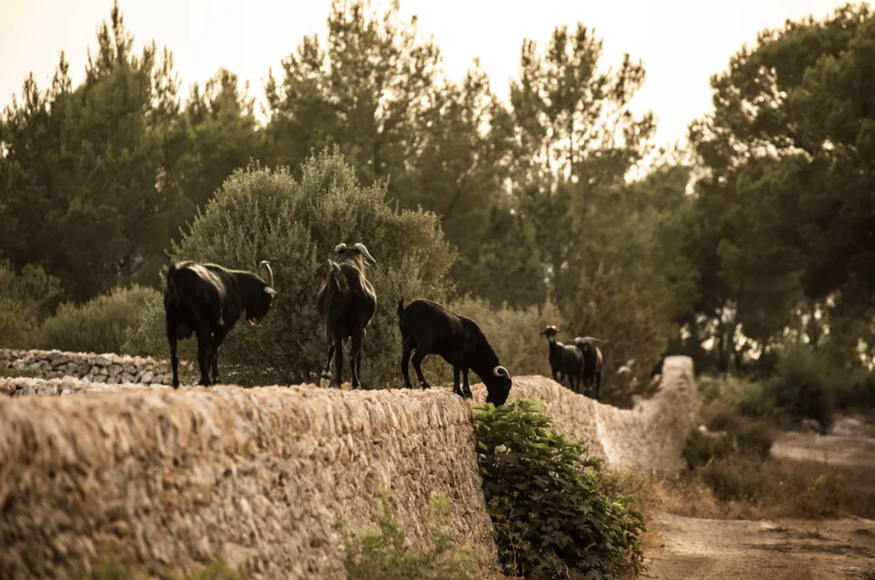 Bildschirmfoto 2026-03-08 um 15.57.54.png