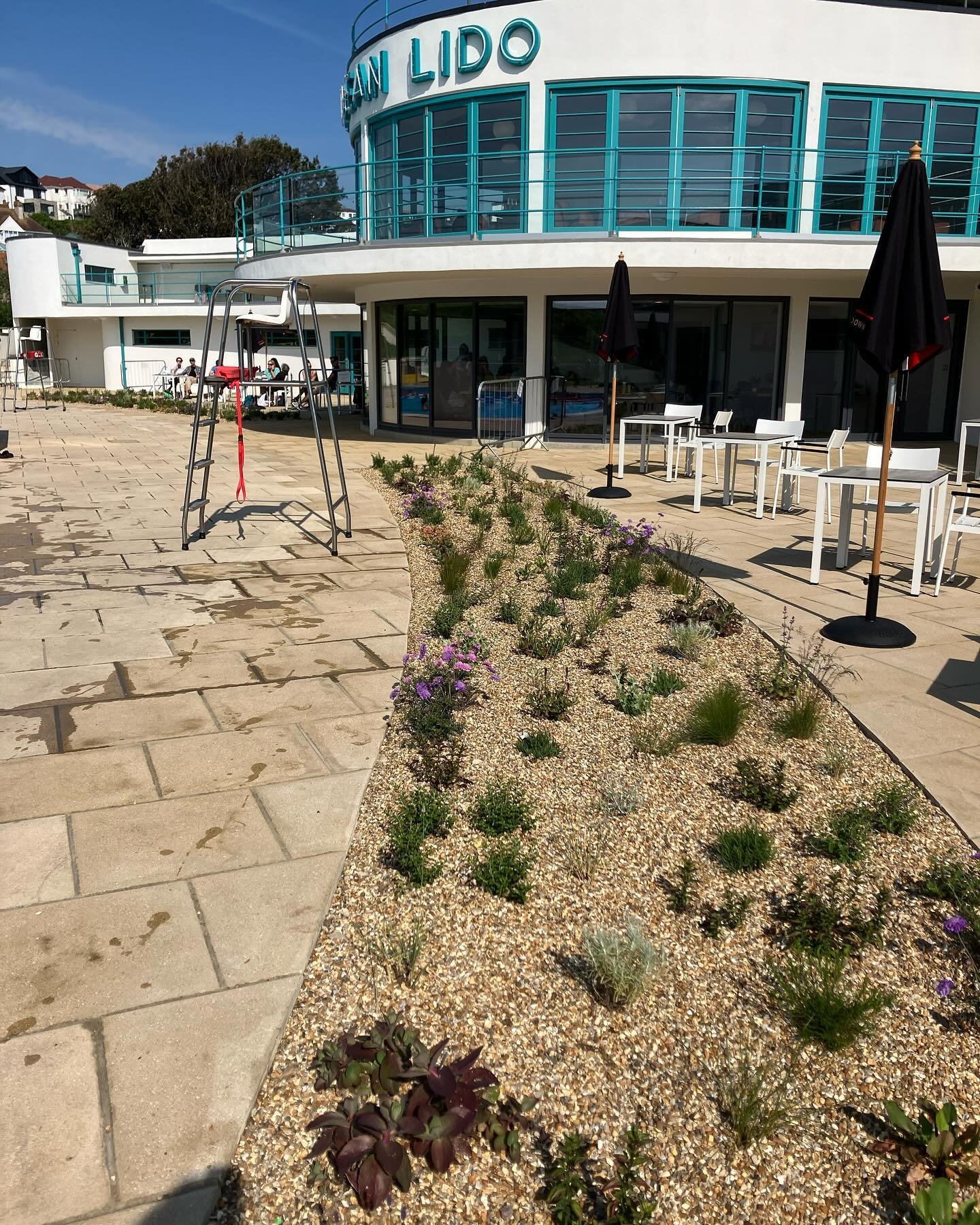 Gorgeous new planting scheme at the Saltdean Lido. This whole place has been saved by the sheer determination and strength of the local community. It is a wonderful hub created through passion. The planting which separates the cafe from the pool area