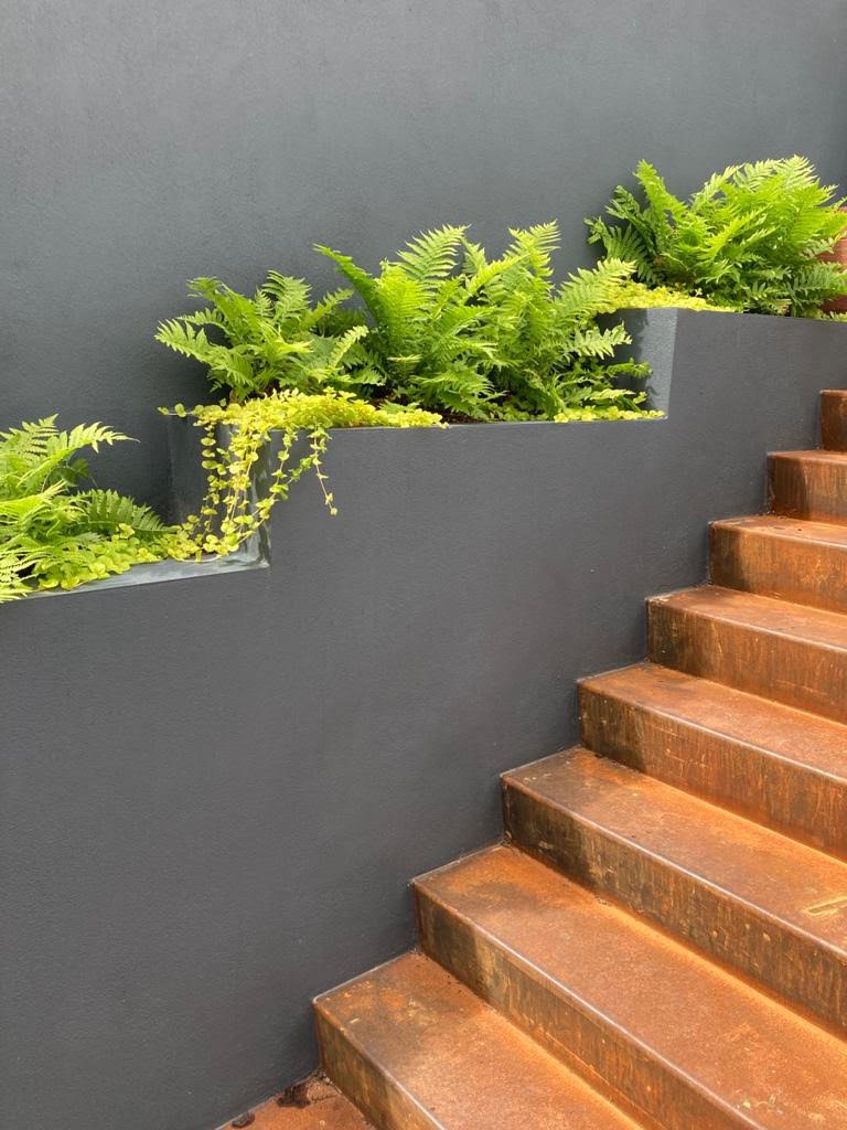 corten with ferns.jpg