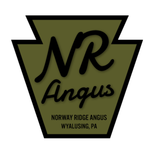 NORWAY RIDGE ANGUS