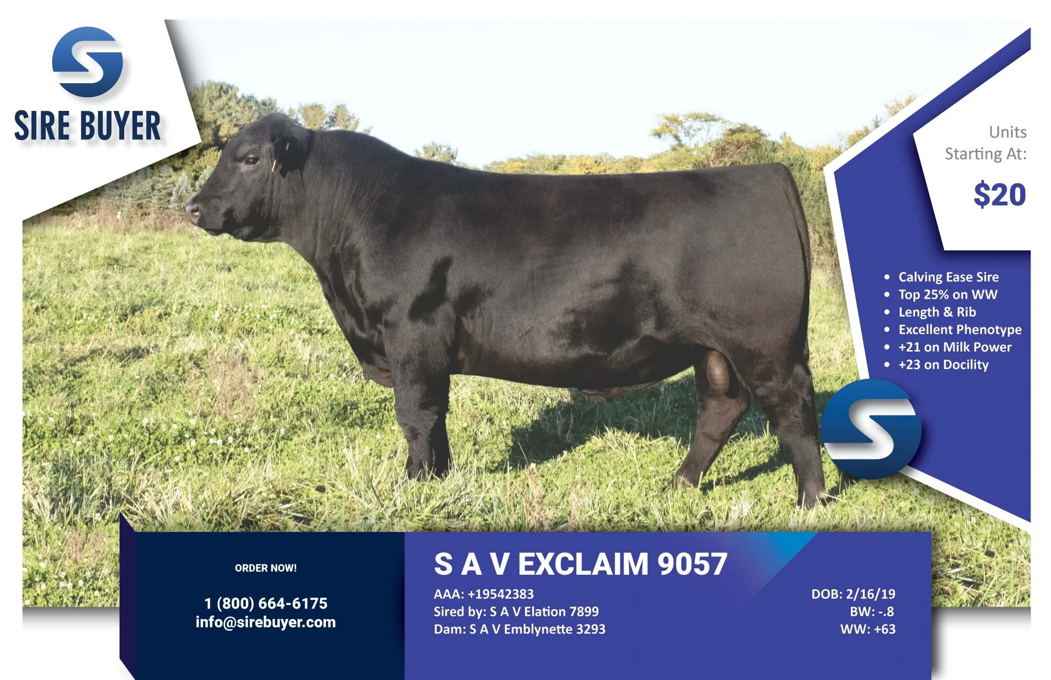 Bull Sale — NORWAY RIDGE ANGUS