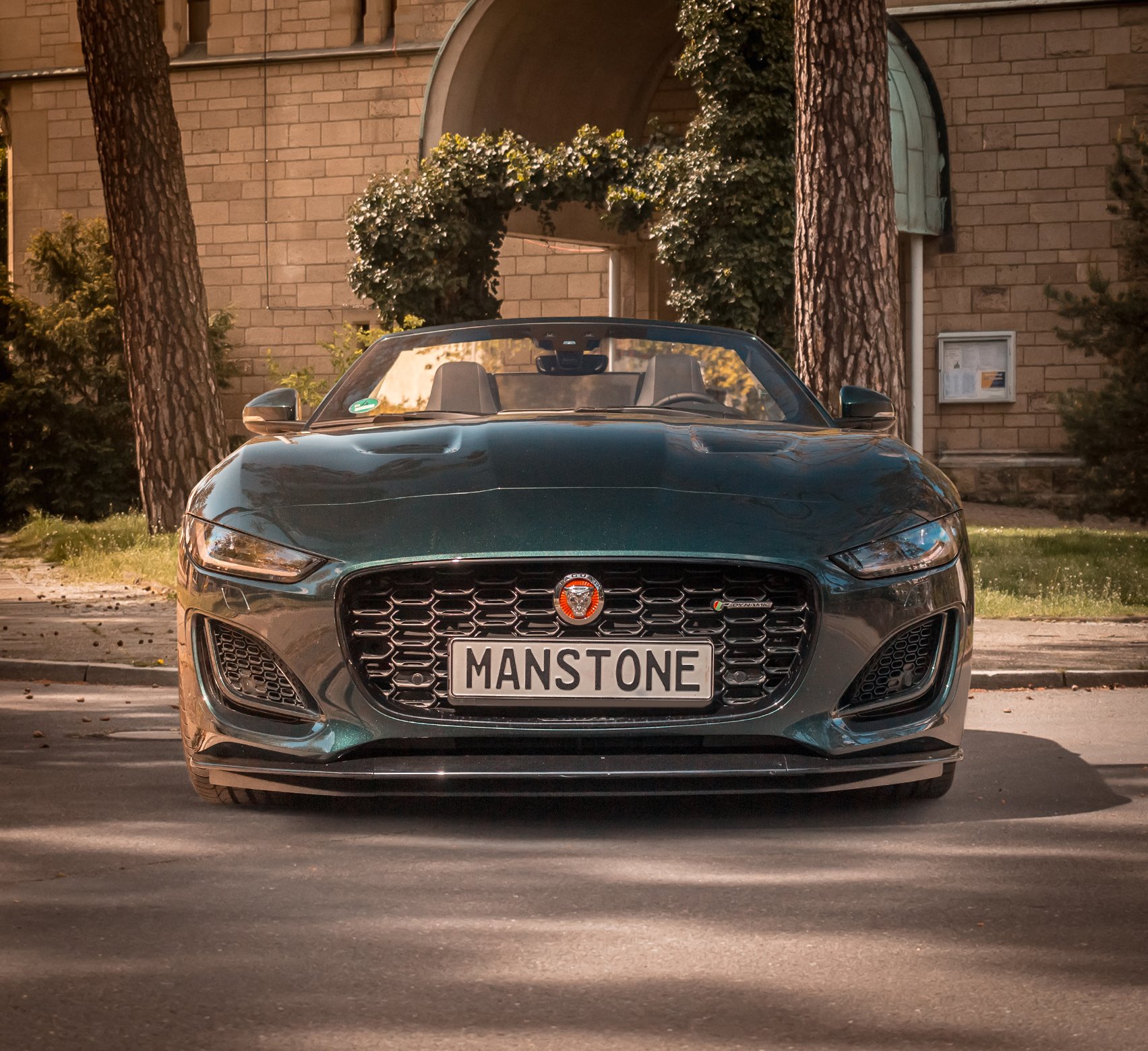 F-Type2.jpg