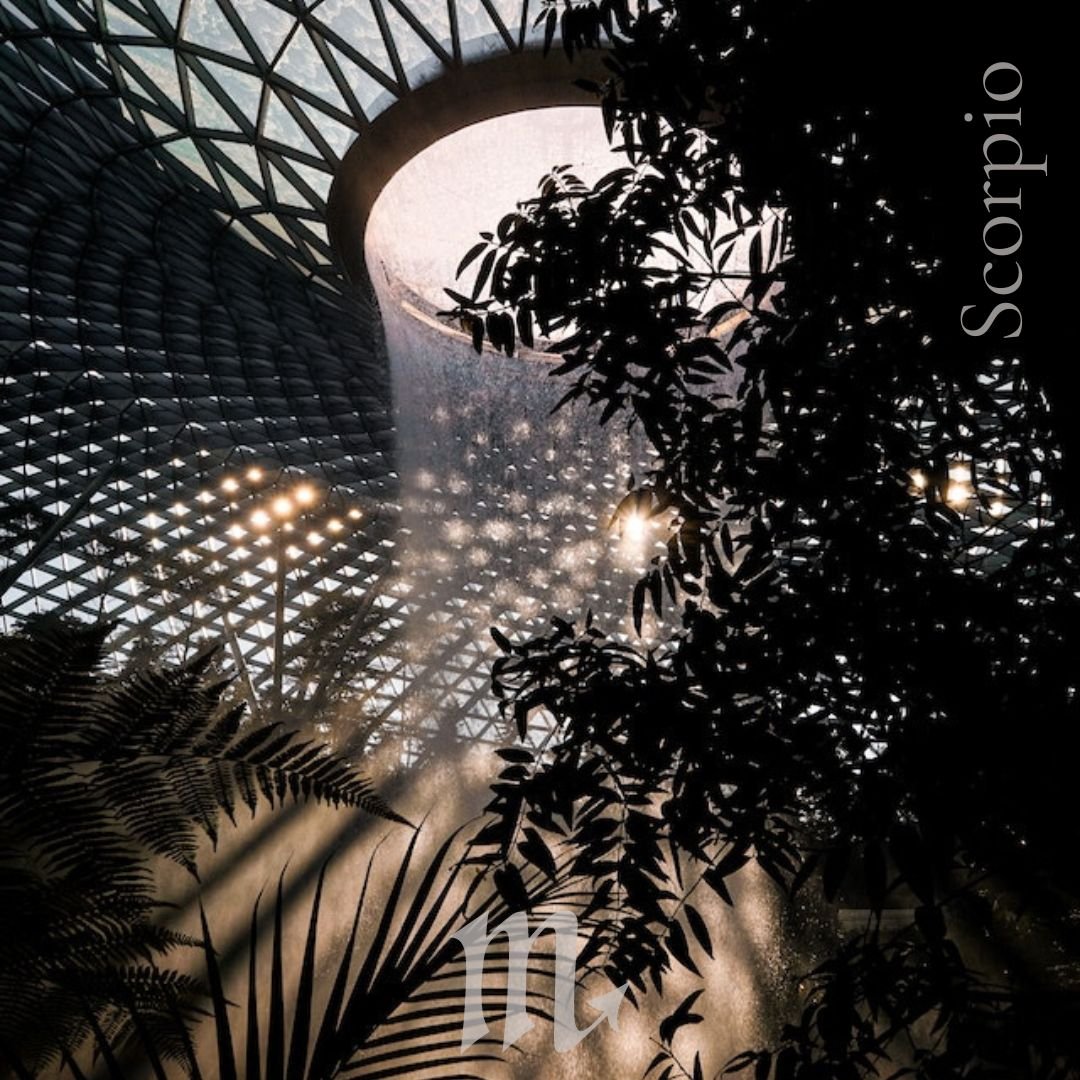 Light shining through a sphere-like ceiling, into a darker, vegetative space below.