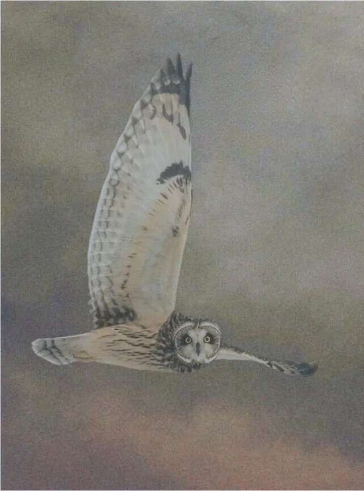 A wise owl representing learning, guidance, and intuitive wisdom.