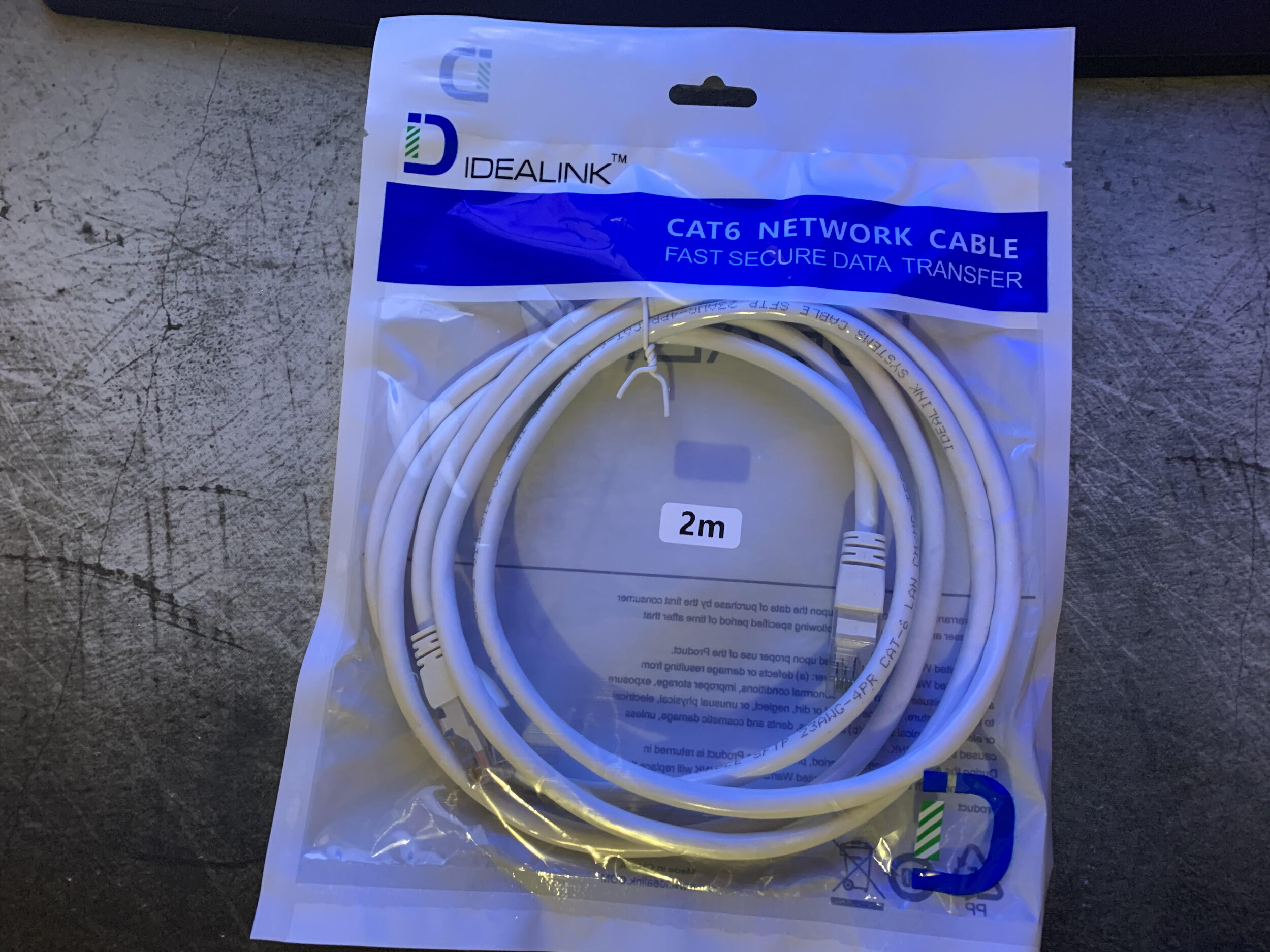 cat64.jpg