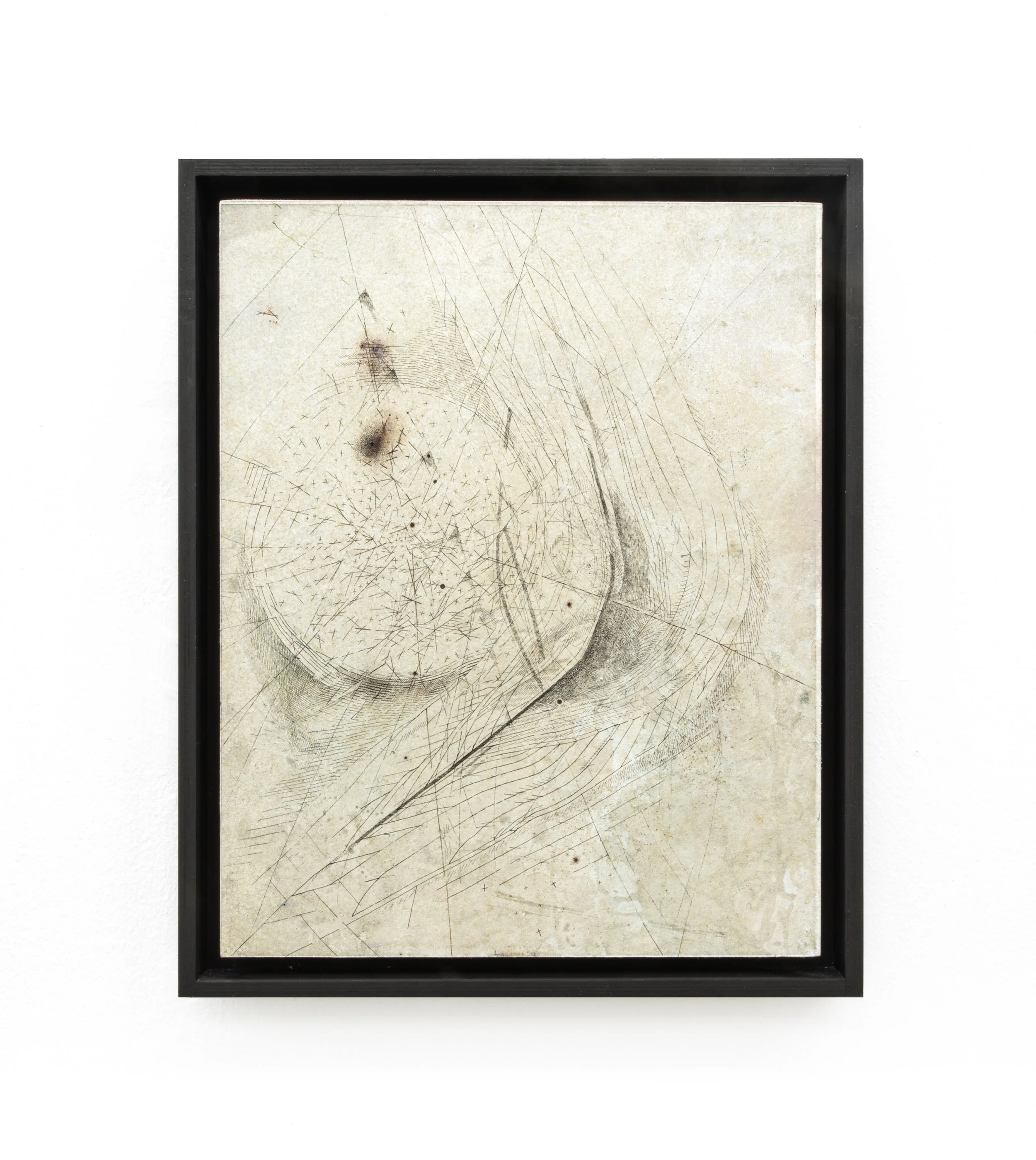 9_Once Grown #2_etching, oil, ink on printmaking paper, birch tree_55 x 45 x 7 cm_2025.jpg