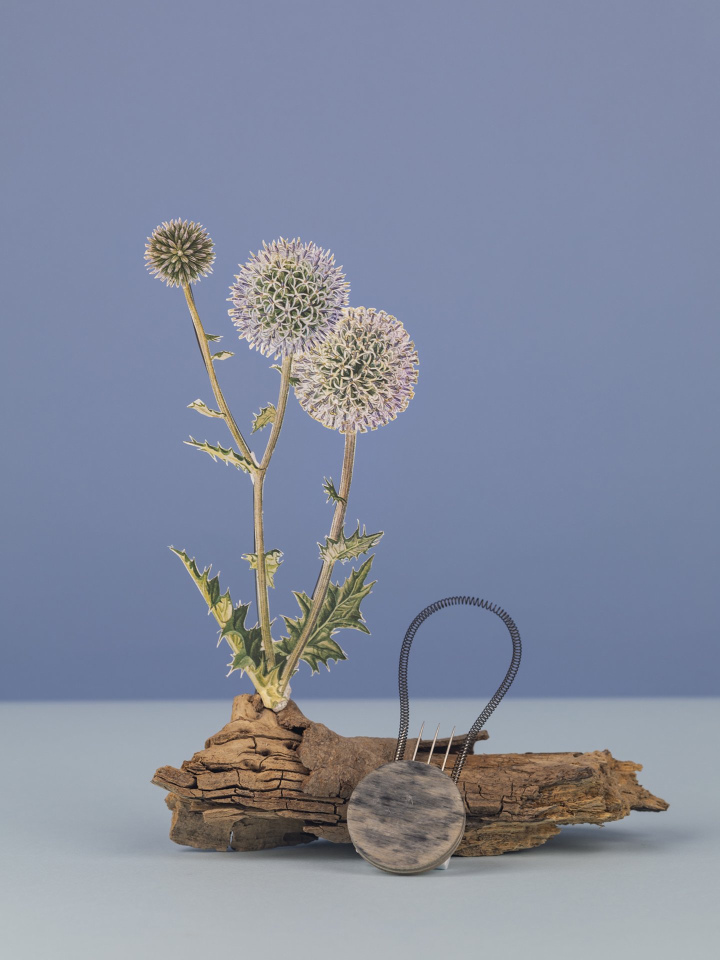 Still Life for Things that Need a Goodbye, Mourning #06