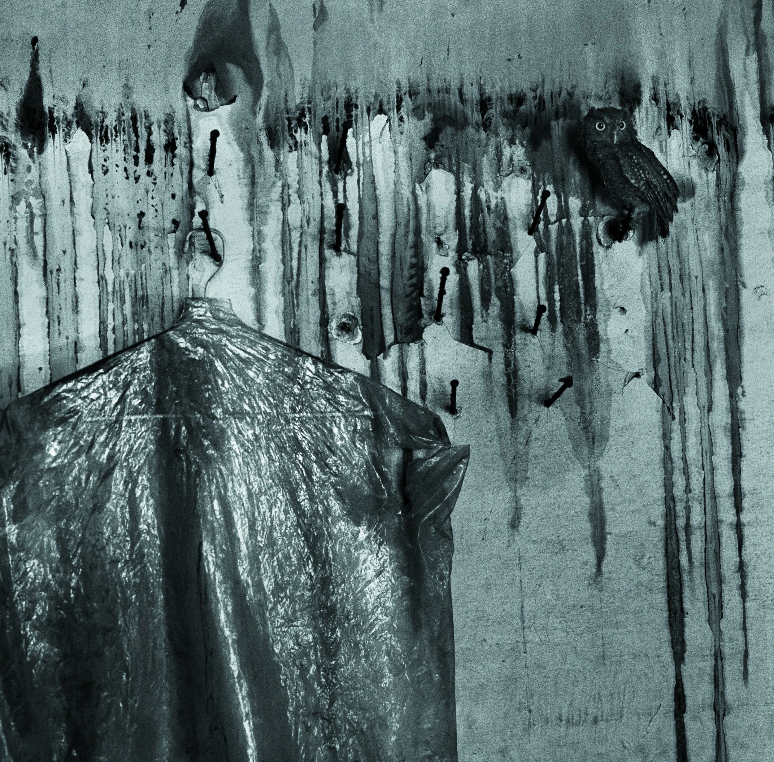 Debbie Fleming Caffery, House of the Owl, Mexico City, 1996. Silver Gelatin Print, 19 x 19 inches