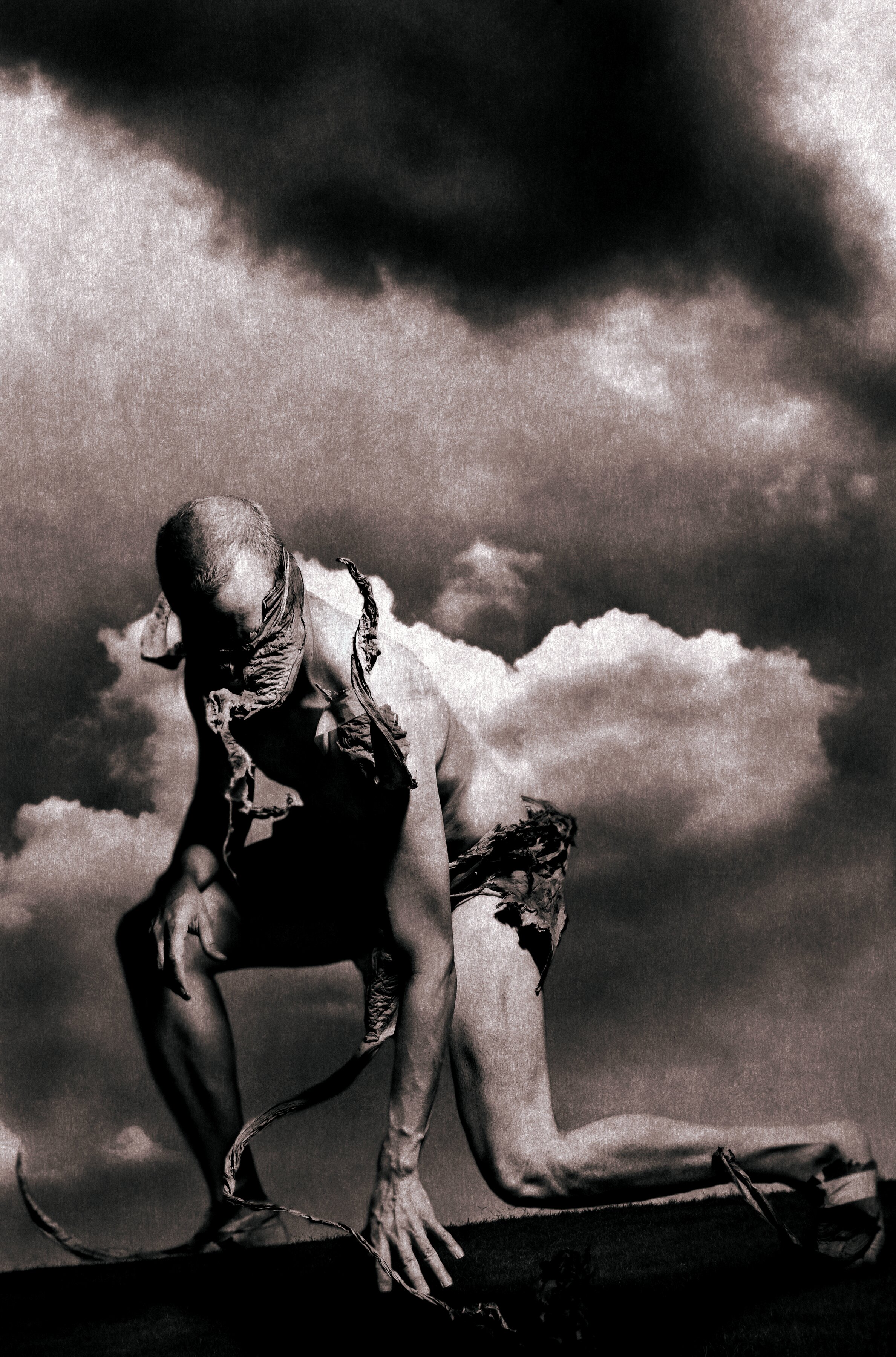 Louviere & Vanessa, Mors Solum, 2006. Inkjet Print on Kozo with Wax and Blood, 33 x 53 inches