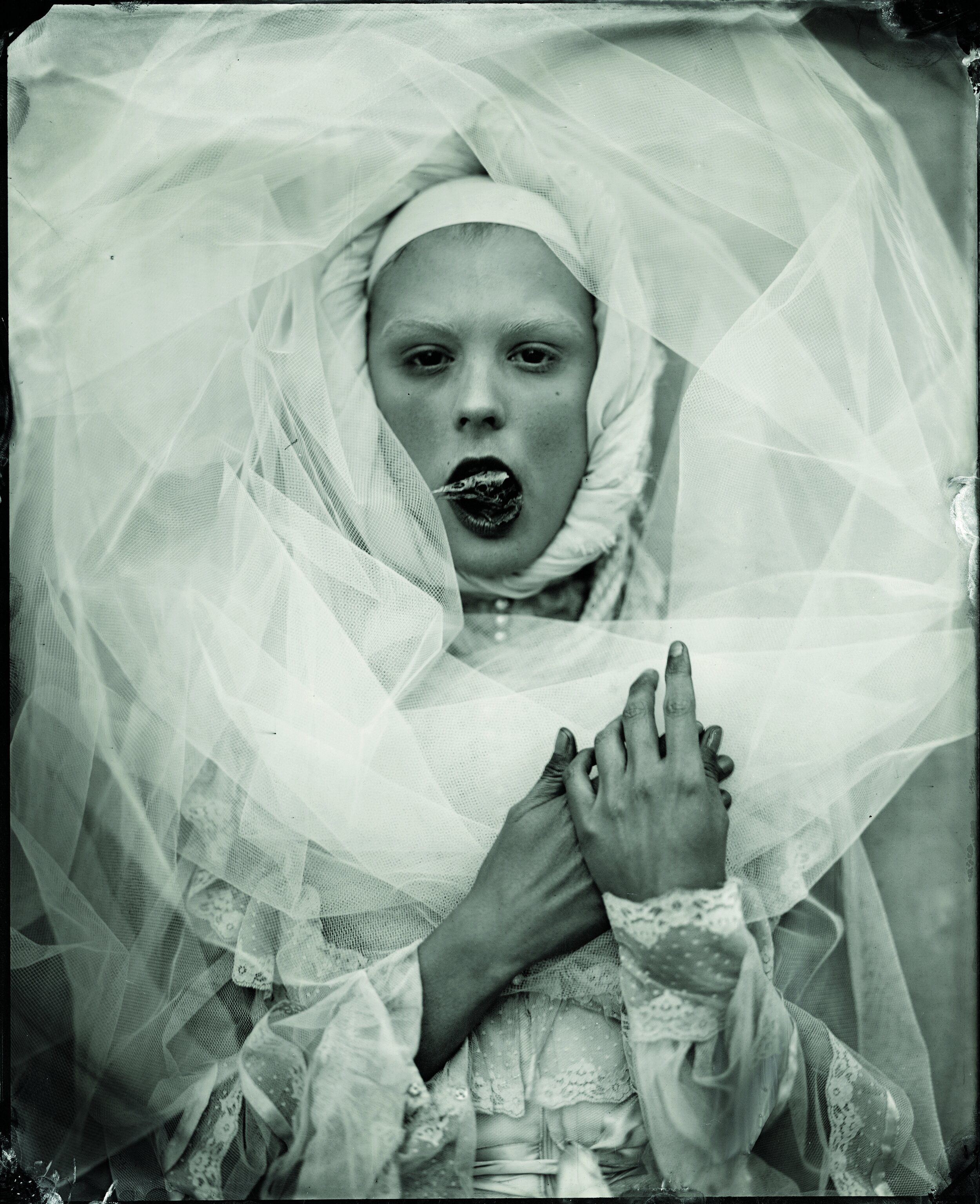 Mark Sink & Kristen Hatgi Sink, Echo and Bird Skull, 2012. Collodion Wetplate, 10 x 8 inches