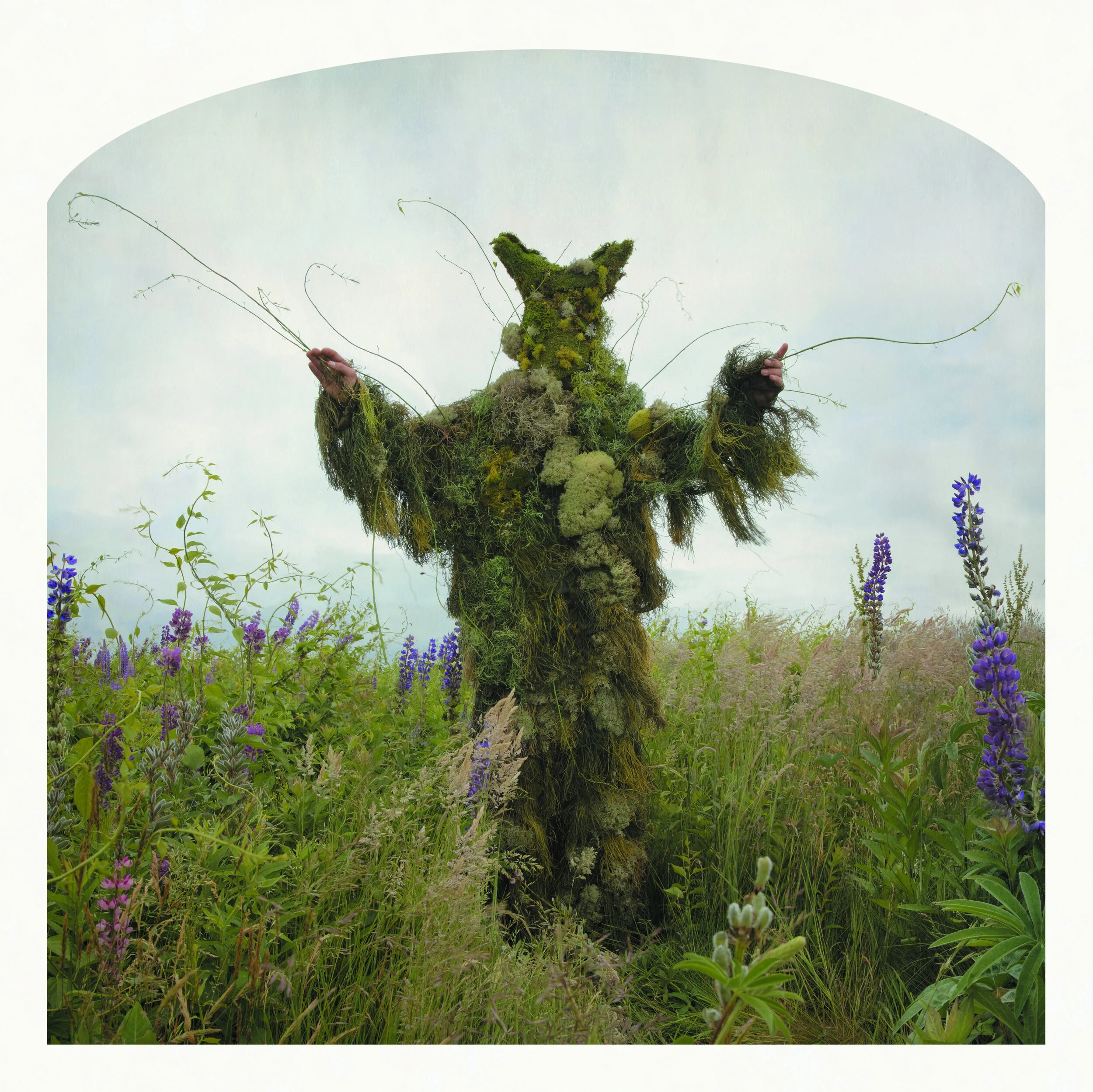 Kahn & Selesnick, King of Weeds, 2012-13. Archival Pigment Print, 10 x 10 inches