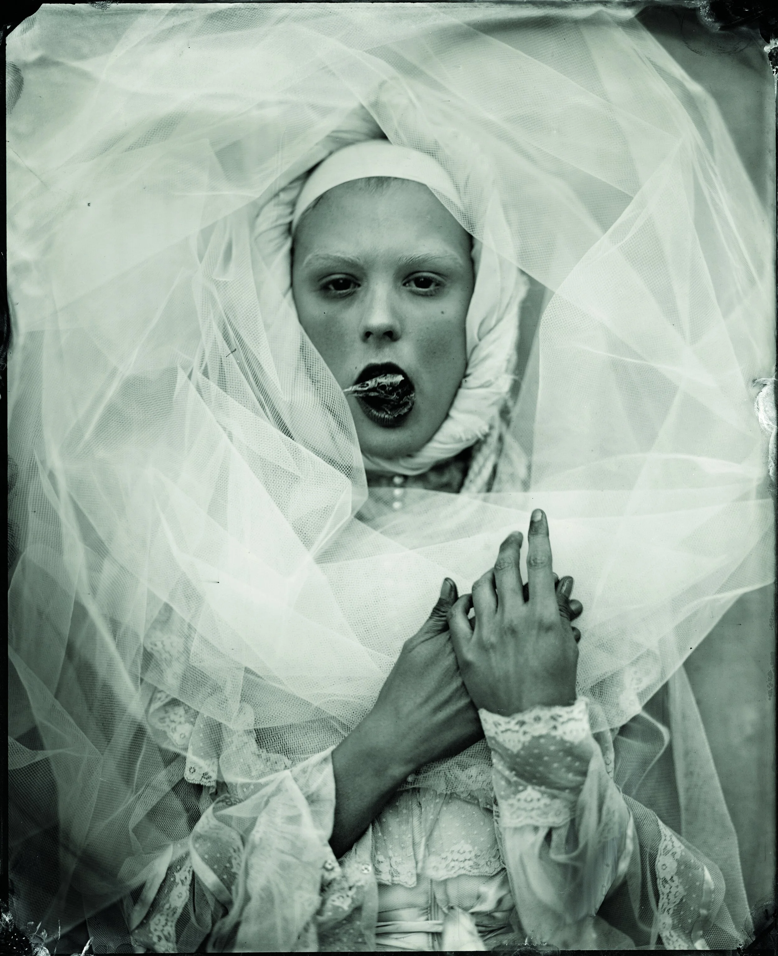 Mark Sink & Kristen Hatgi Sink, Echo and Bird Skull, 2012