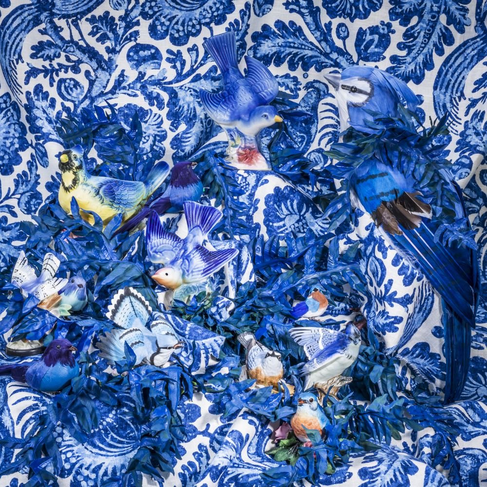 Carroll-BlueBirdsOnBlue.jpeg
