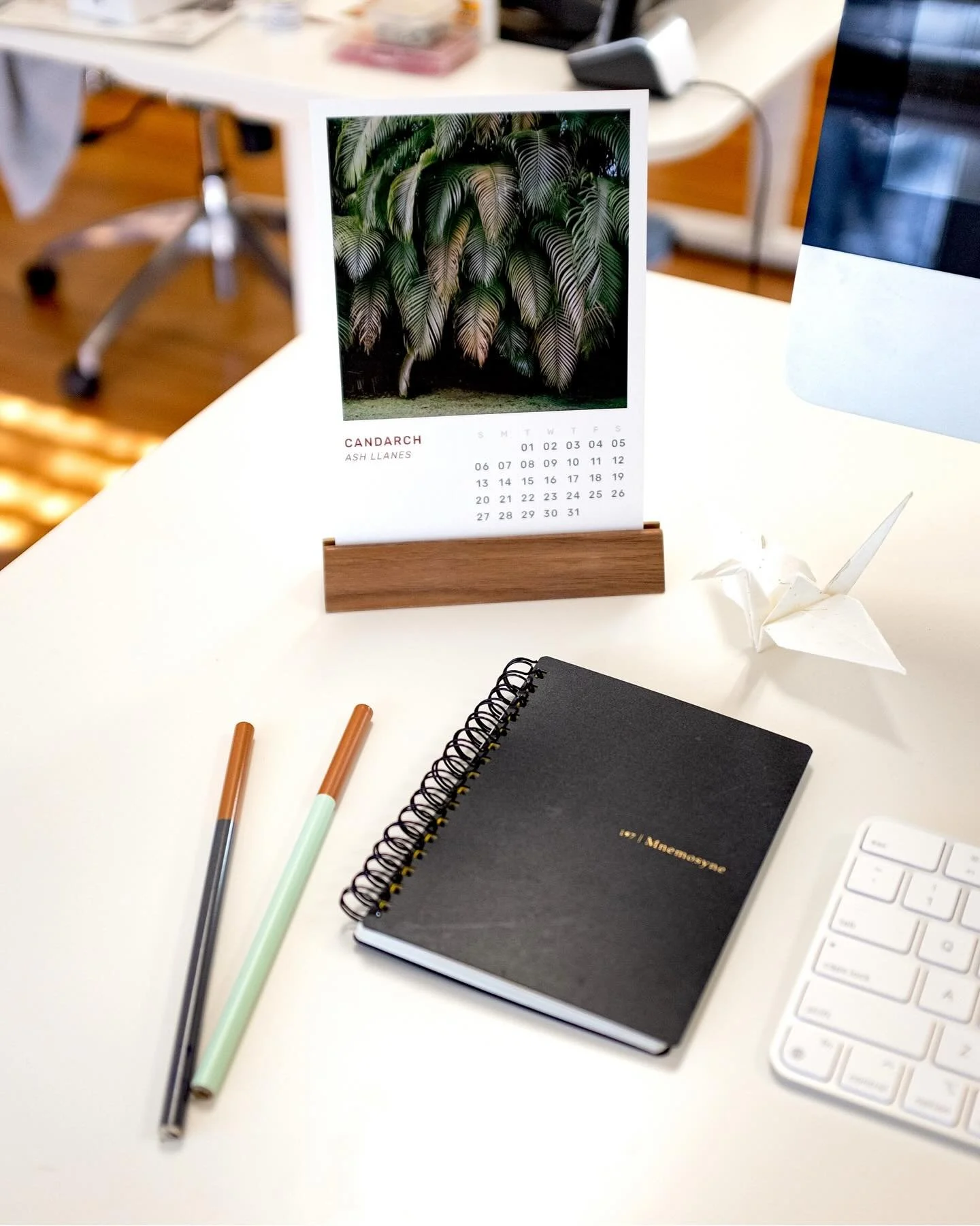 CANDELAR SUBMISSION DEADLINE: FRIDAY, NOVEMBER 28.

Submission is free and can be accessed via link in bio or candelagallery.com/blog/candelarcall2025

We&rsquo;re looking for three images cropped to a square - one-liners, b-sides, and seasonal image