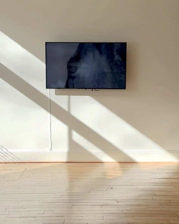 TABLE feature: Dana Sherwood (@danasherwoodstudio)

Dana Sherwood is an American artist whose diverse practice explores the relationship between humans and the natural world in order to understand culture and behavior in a changing environment. Emplo