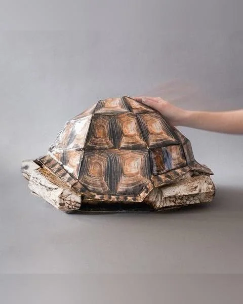 OPENING FRIDAY, MAY 1ST: 

Candela is excited to welcome back artists Alma Haser (@almahaser) and Nick Lenker (@nicklenker) for exhibitions that push and blend the photographic object.&nbsp;

In the front gallery, Philadelphia artist Nick Lenker retu