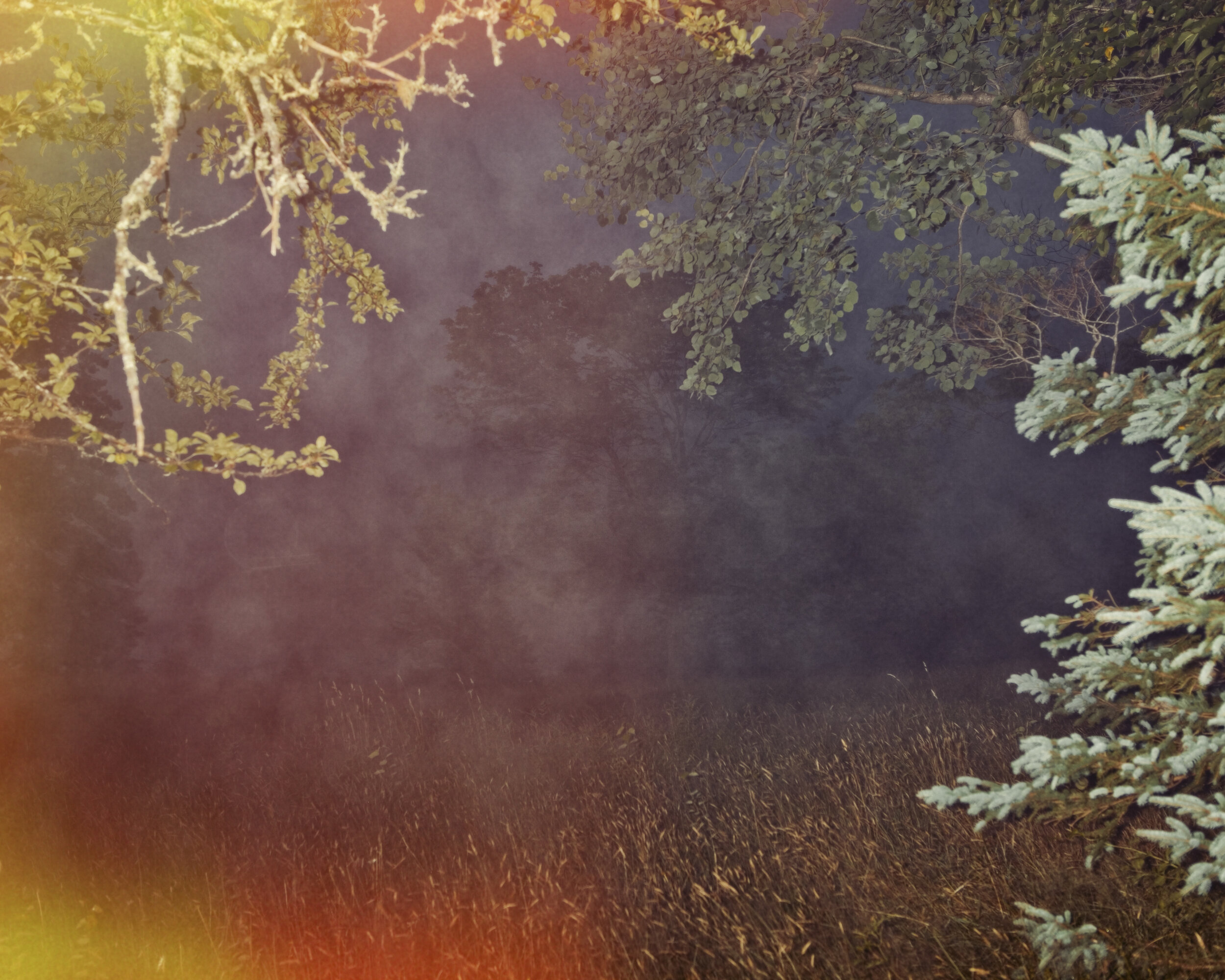 Paul Thulin, ‘Exposed — Fog’, She whispered.
Archival Inkjet Print, 20 x 24 inches.