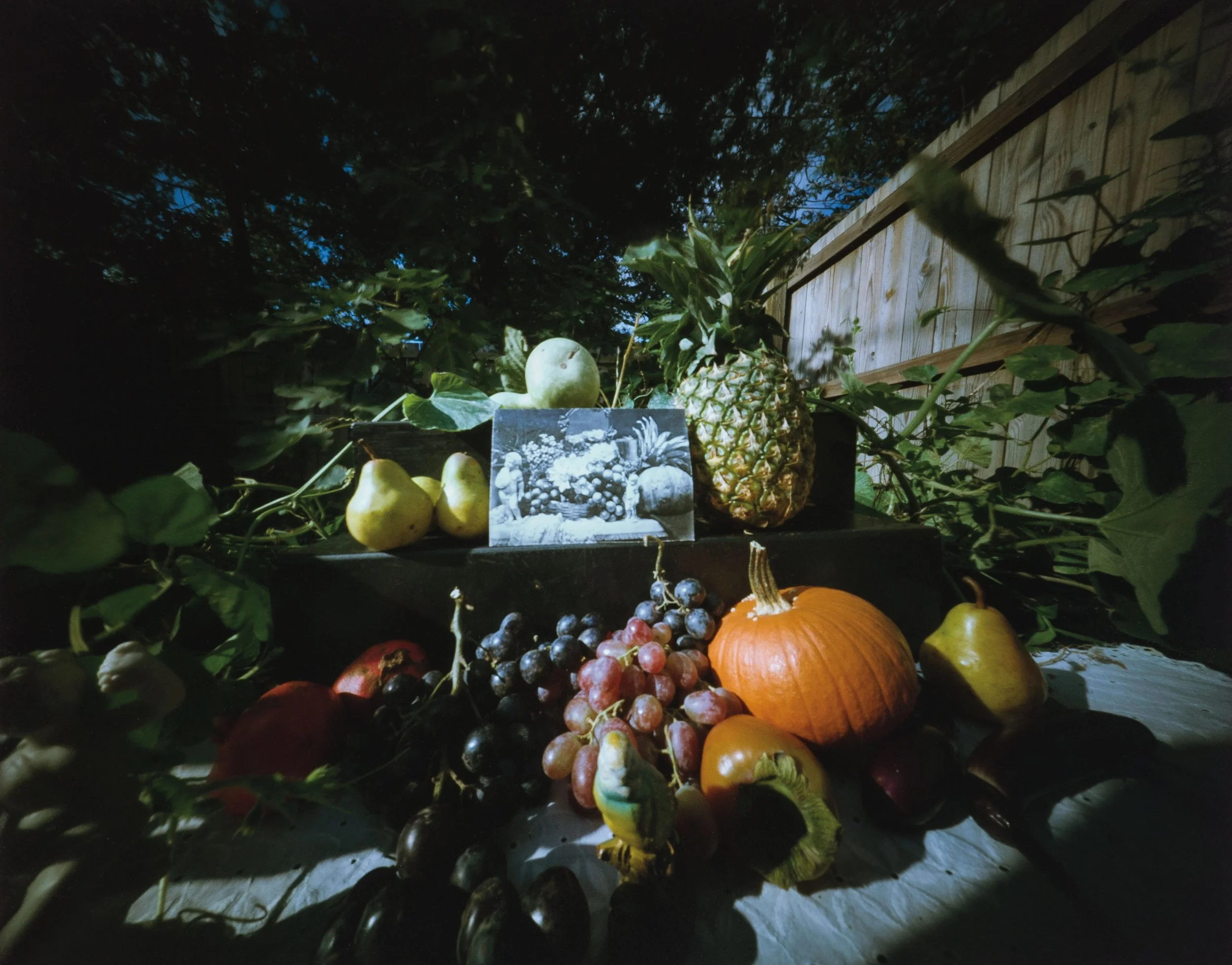 Before Lucca, 1987. Cibachrome Pinhole Photograph, 8 x 10 inches. Unique.