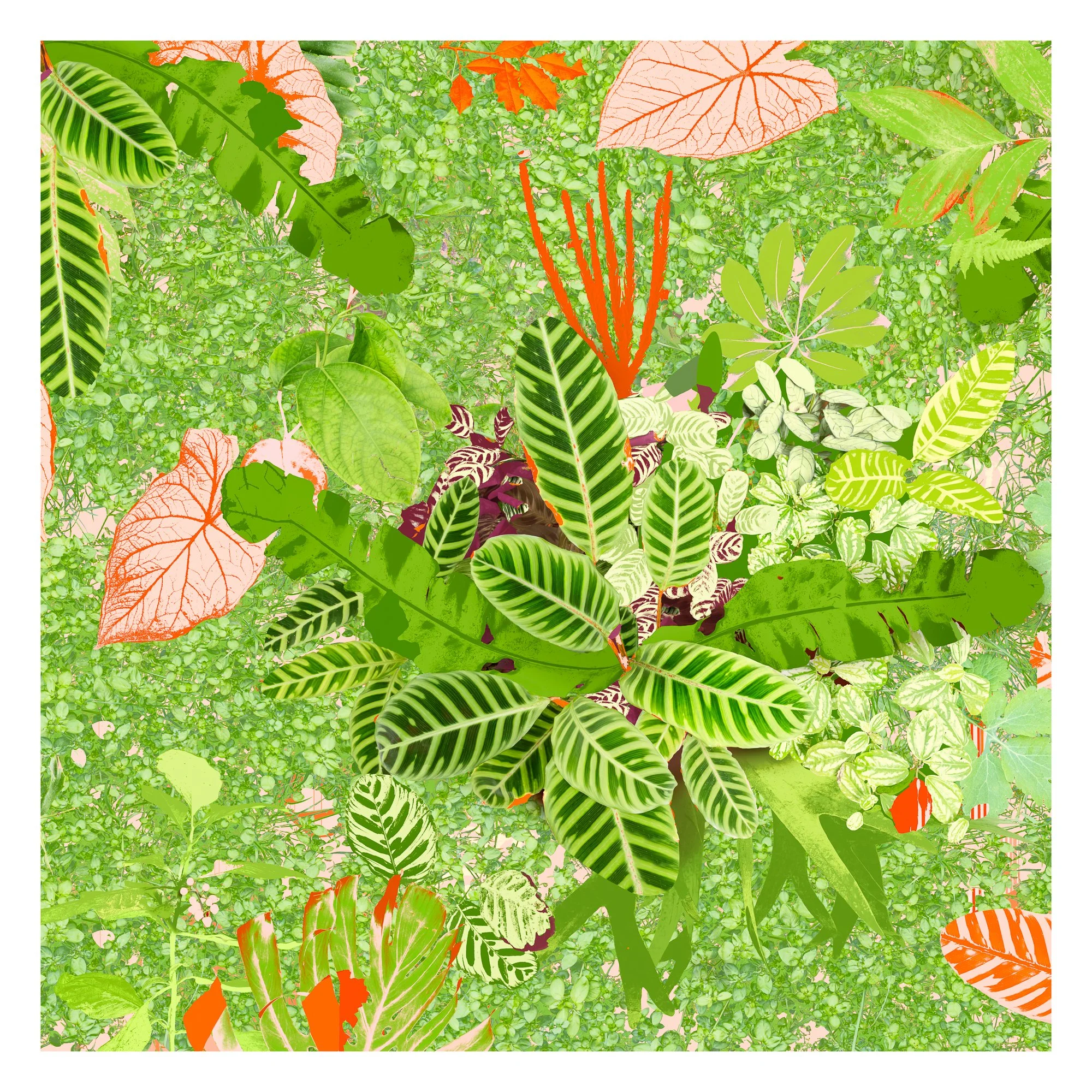 LeighMerrill_ Garden.jpg