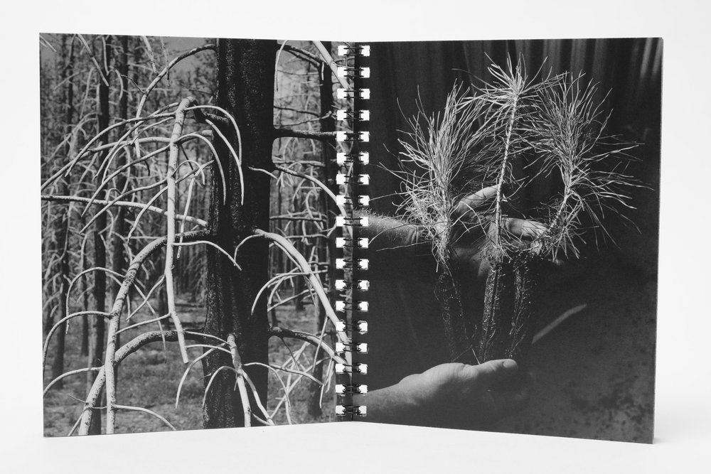 Installation — News — Candela Books + Gallery