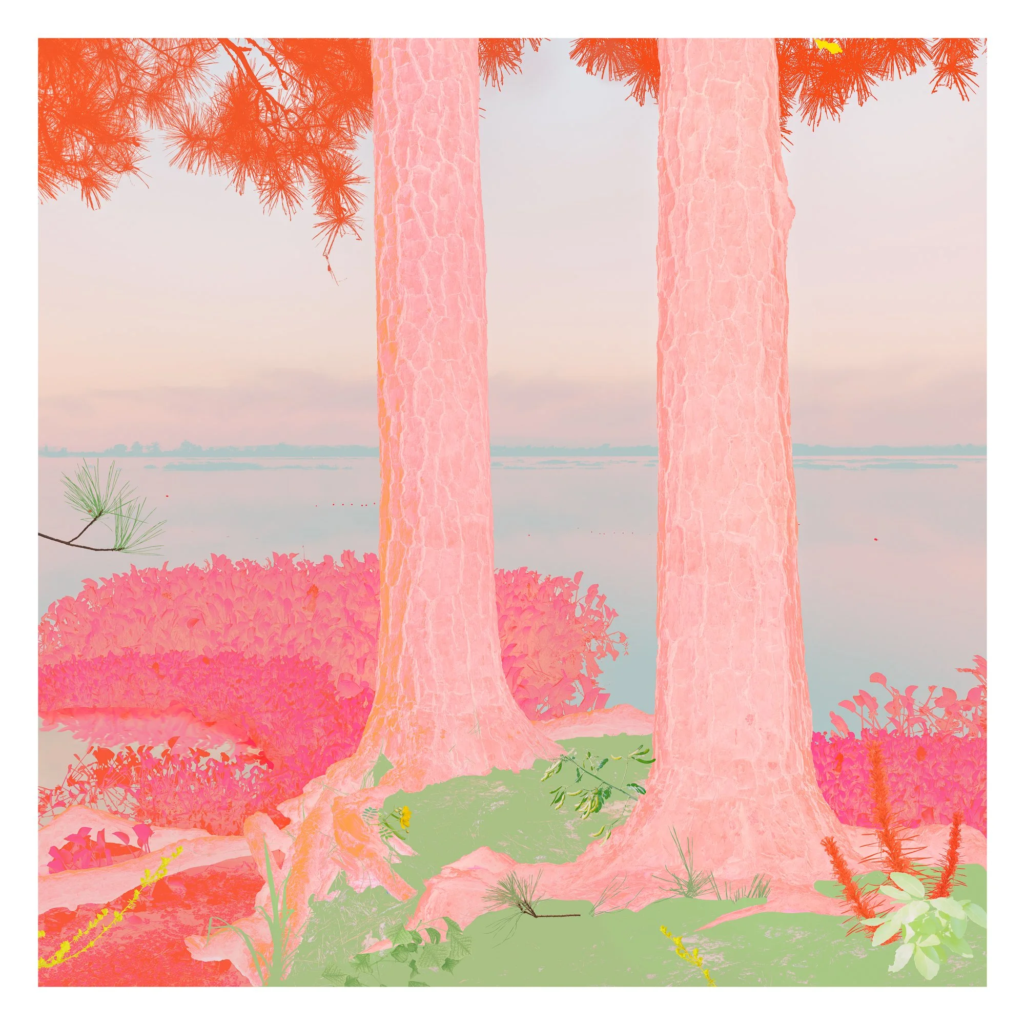 LeighMerrill_ DoublePine.jpg