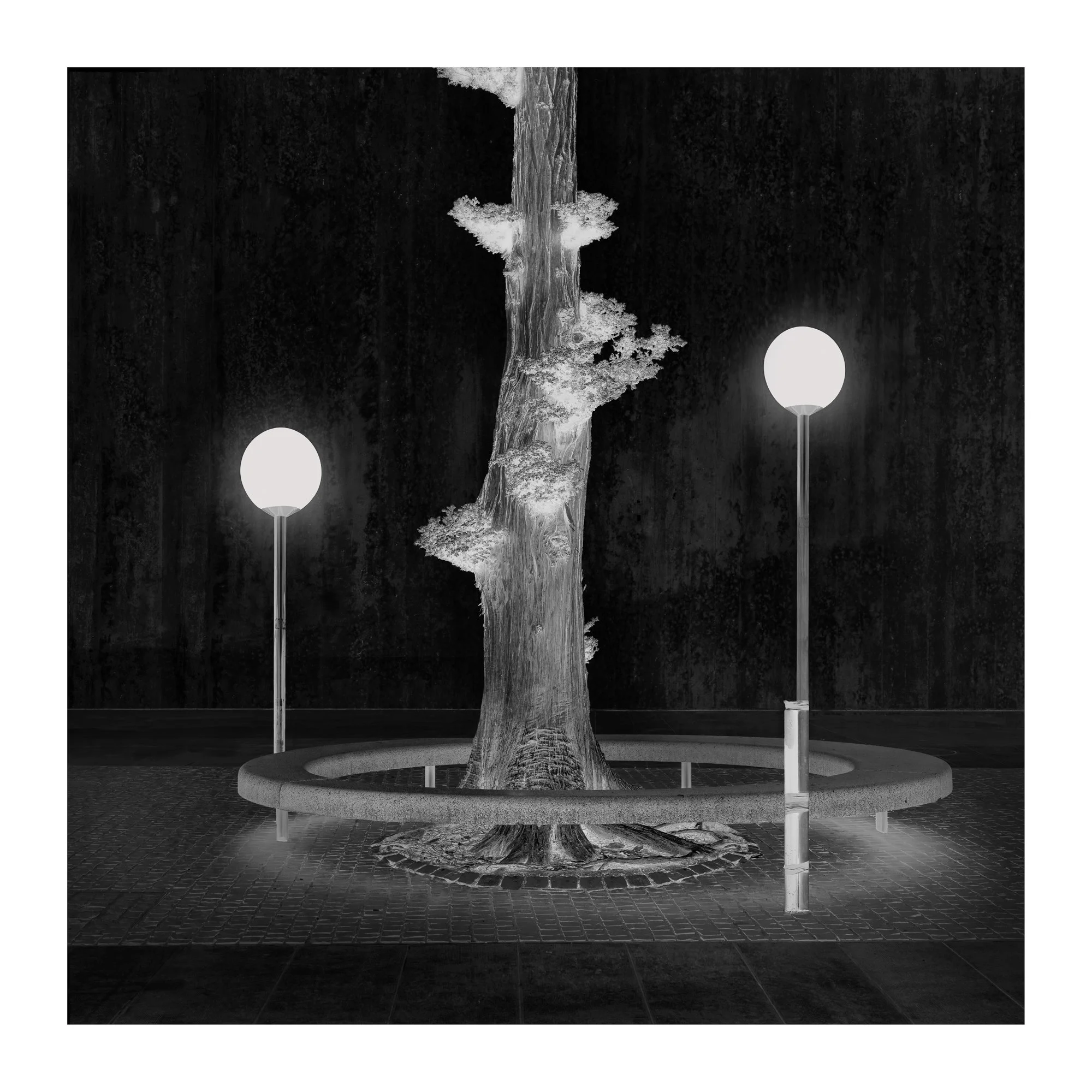 LeighMerrill_ TreewithLights.jpg