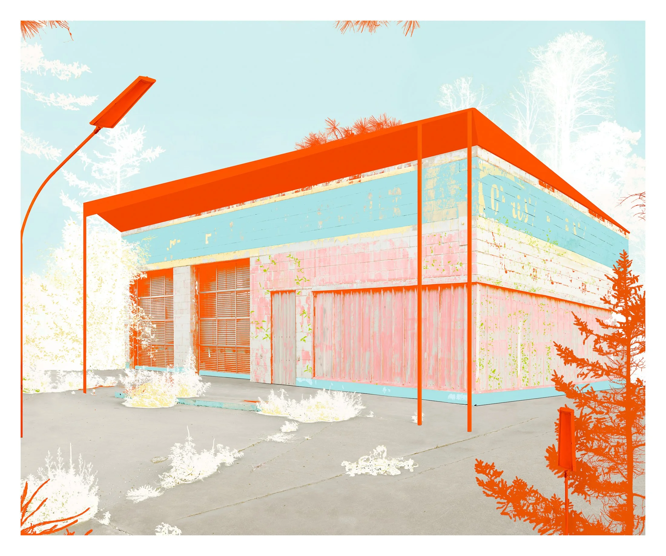 LeighMerrill_ Thistle.jpg