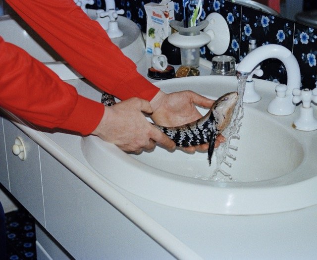LUDOVICA DE SANTIS
Lucid Dream: The Big Lizard's Baptism,
from the series, Onironautic
available editioned prints:
approx. 8 x 12 in., Ed. of 10
approx. 20 x 30 in., Ed. of 3