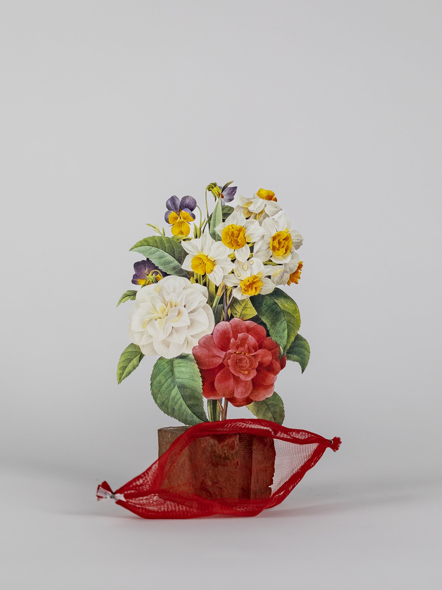 Still Life for Things that Need a Goodbye, Mourning #42