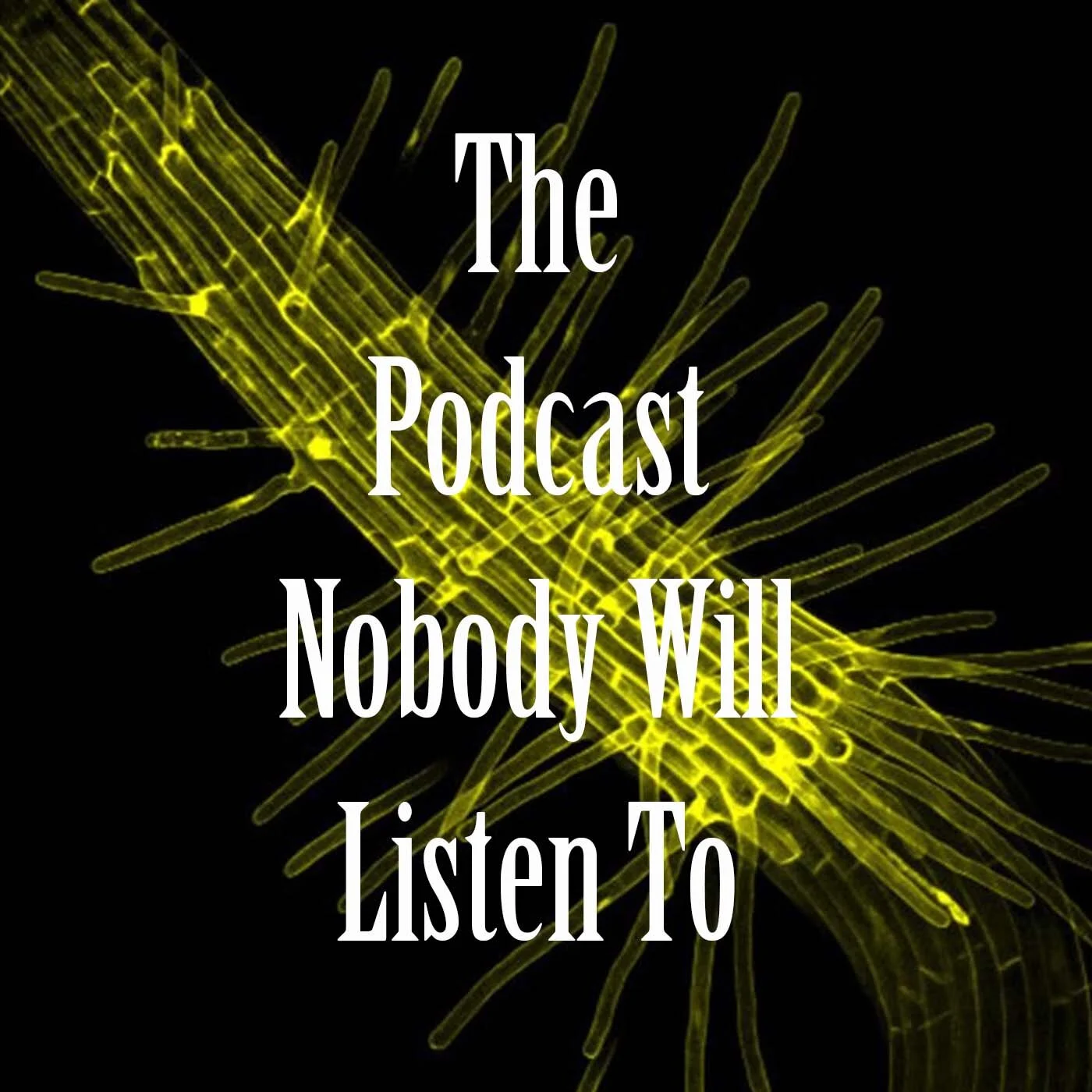 1.14 Why is it called Whorls of Conversation?