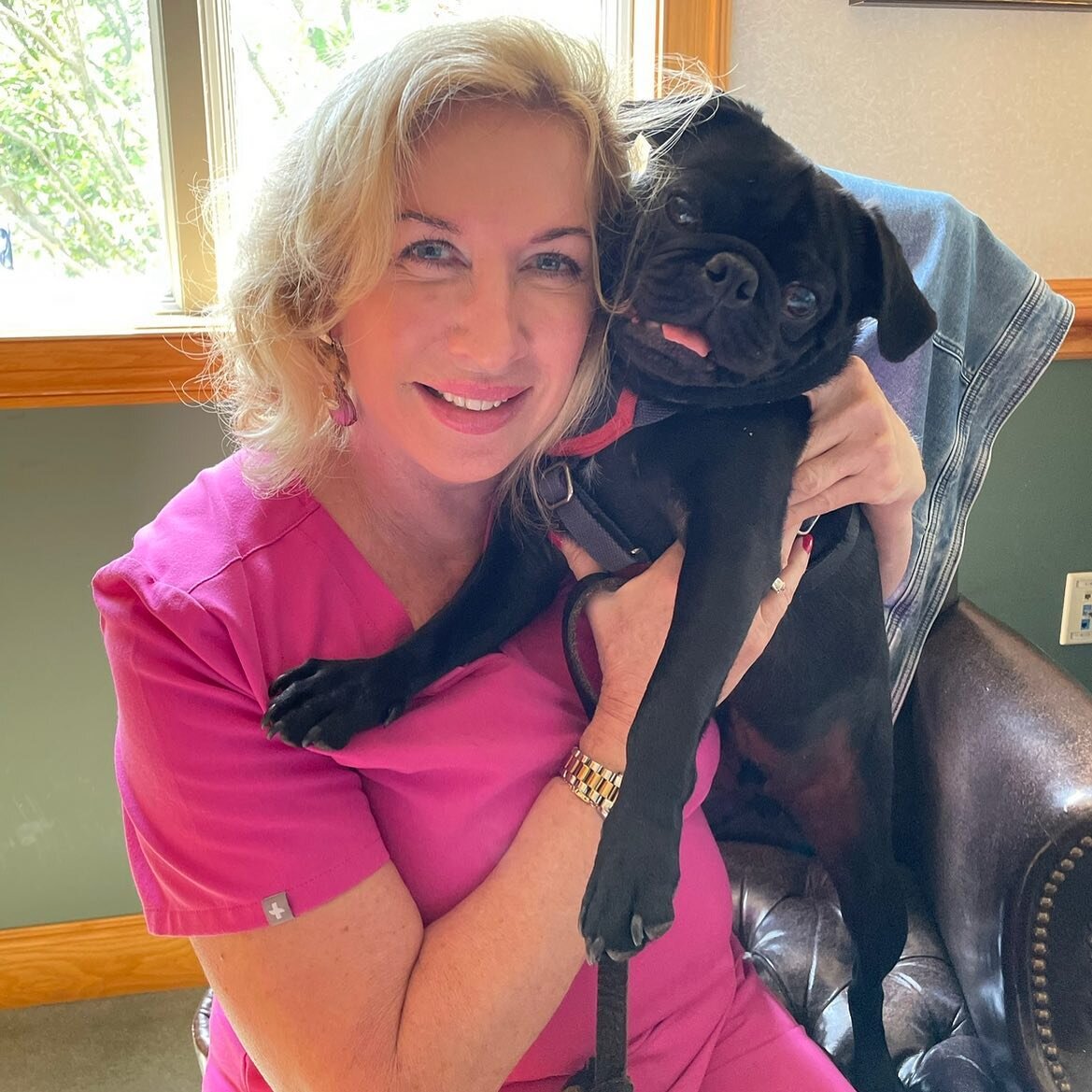 Meet our office mascot ✨ELVIS✨

We love our visits from him &amp; wish he could be alongside us all day every day! 🫶🏽🐾

#pug #doglover #dog #dogsofinstagram #plasticsurgery #office #wearfigs #lovedogs