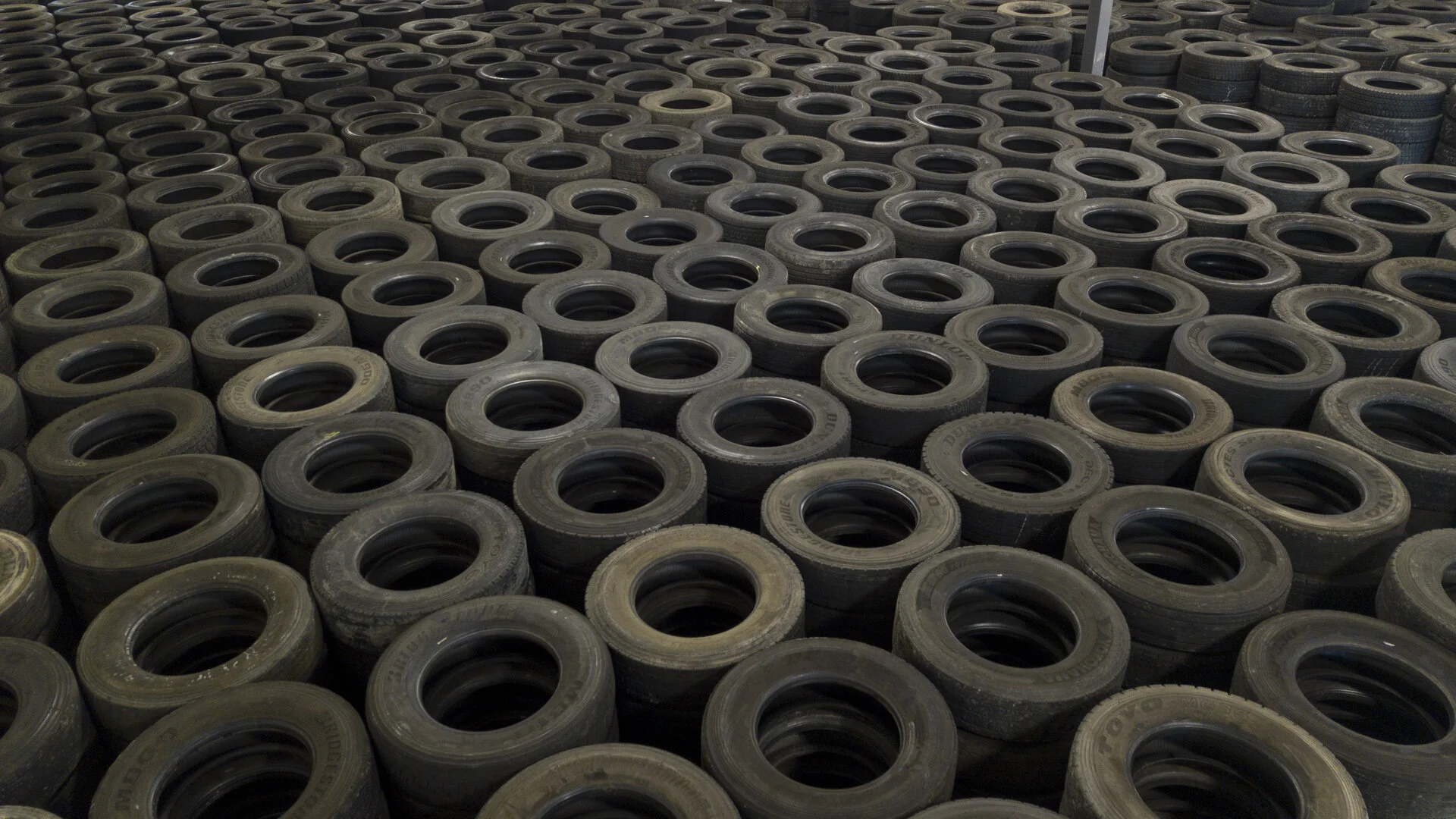 Casings-1-1.jpg