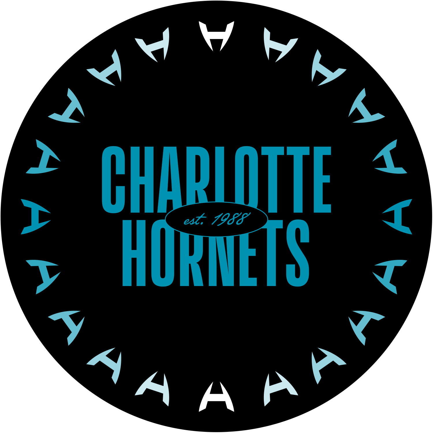 Disc for Disc Golf #2