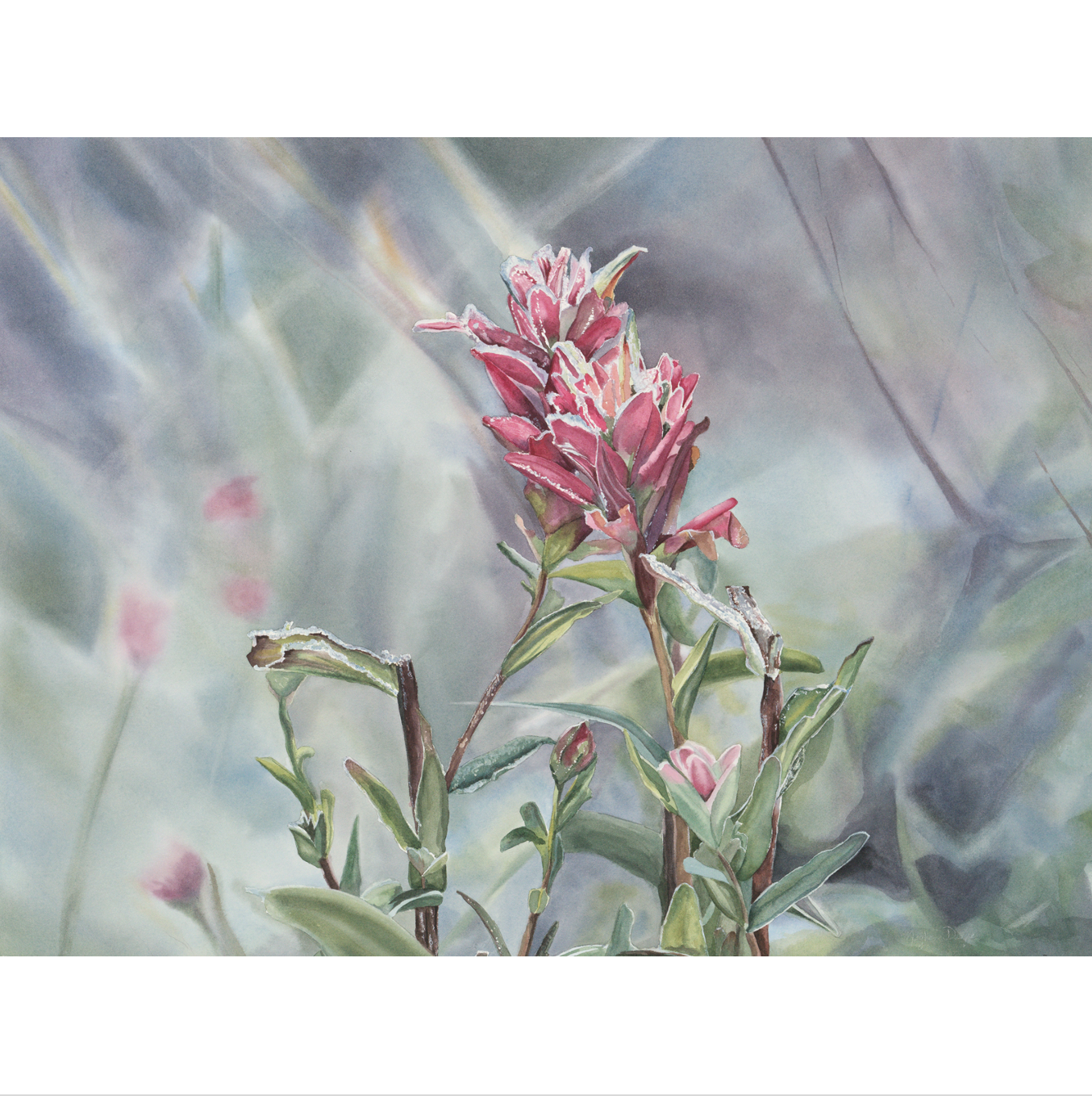 Meghan Dwyre Watercolour Square Pro Paintbrush.png