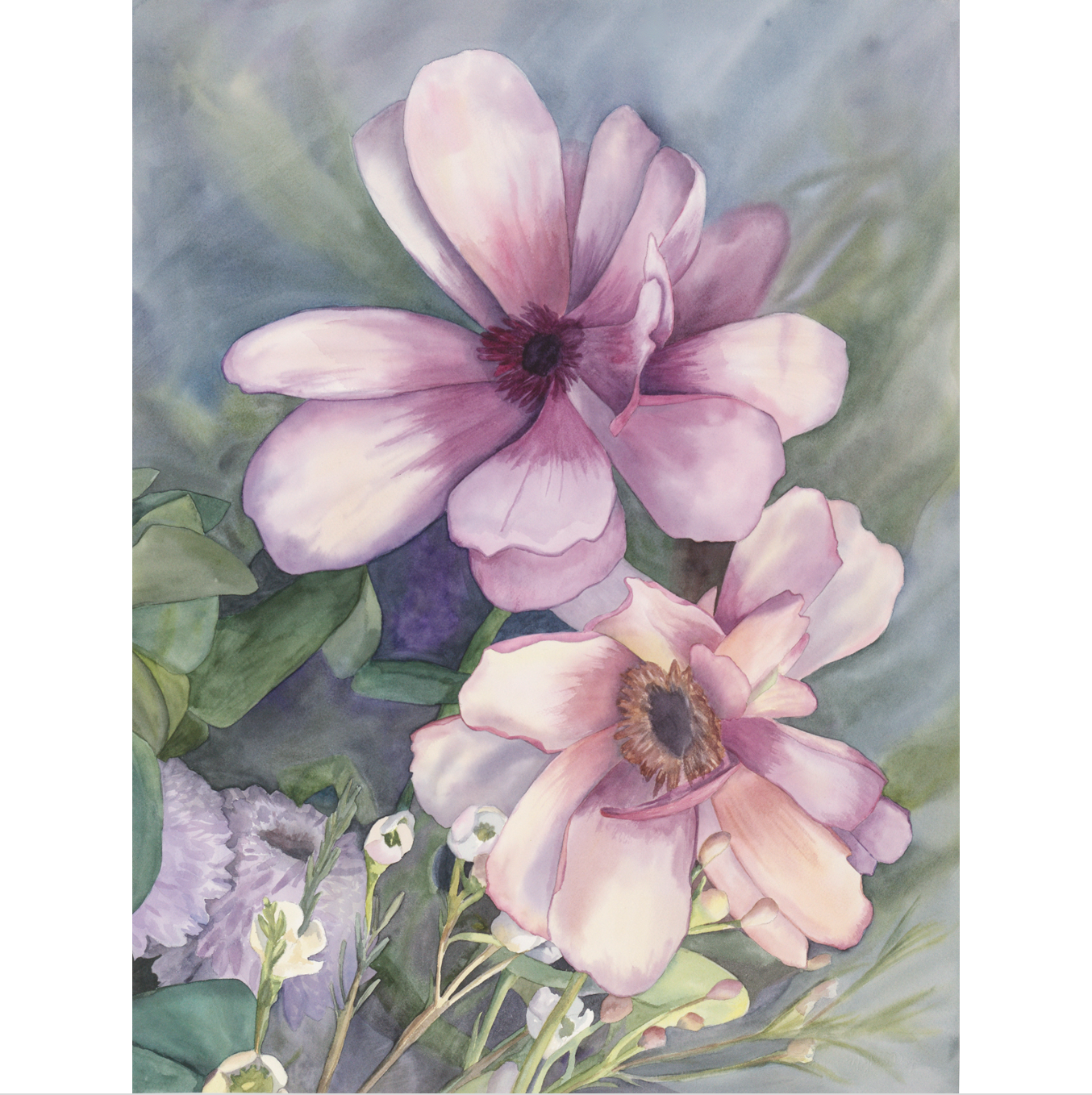 Meghan Dwyre Watercolour Aneomenes Square Pro.png