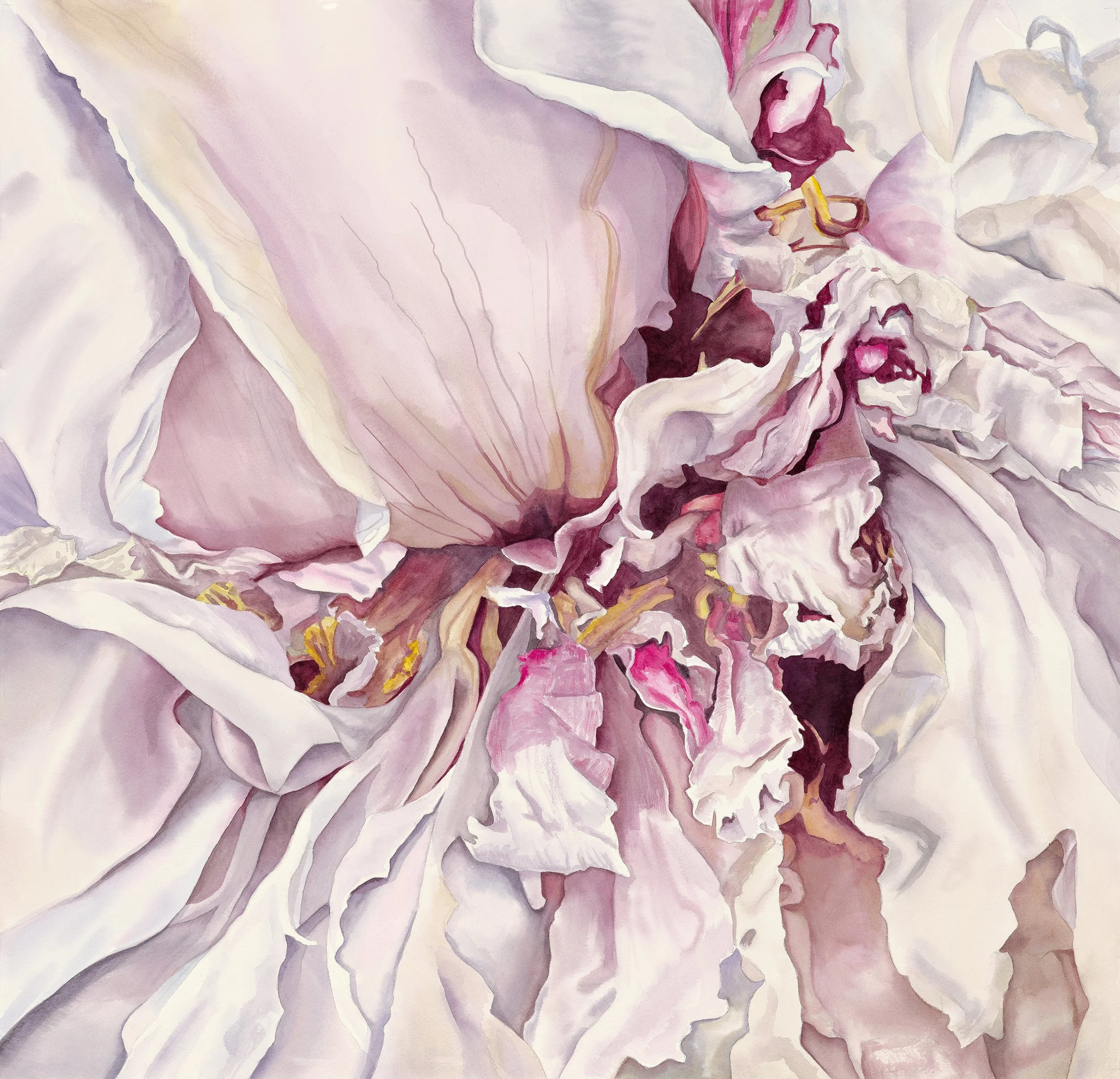 Perennial • Limited Edition Print