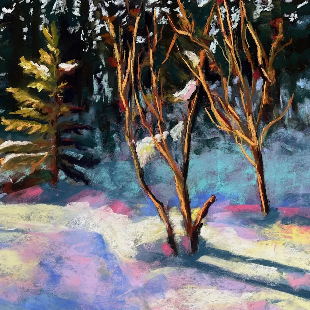 Winter Wander • 16 x 16 • Soft Pastel on Pastel Paper • Available at Leighton Art Centre July 2026