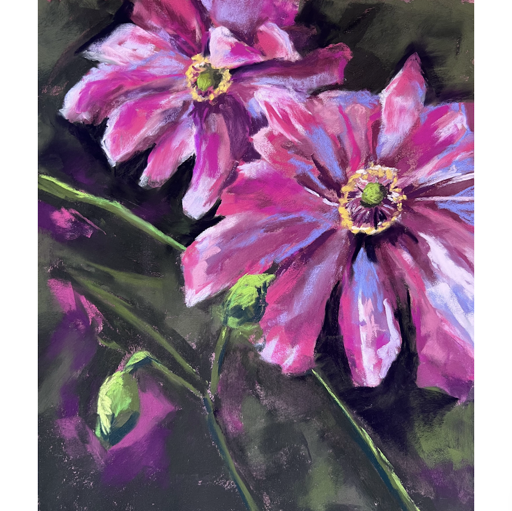 Pink Flowers