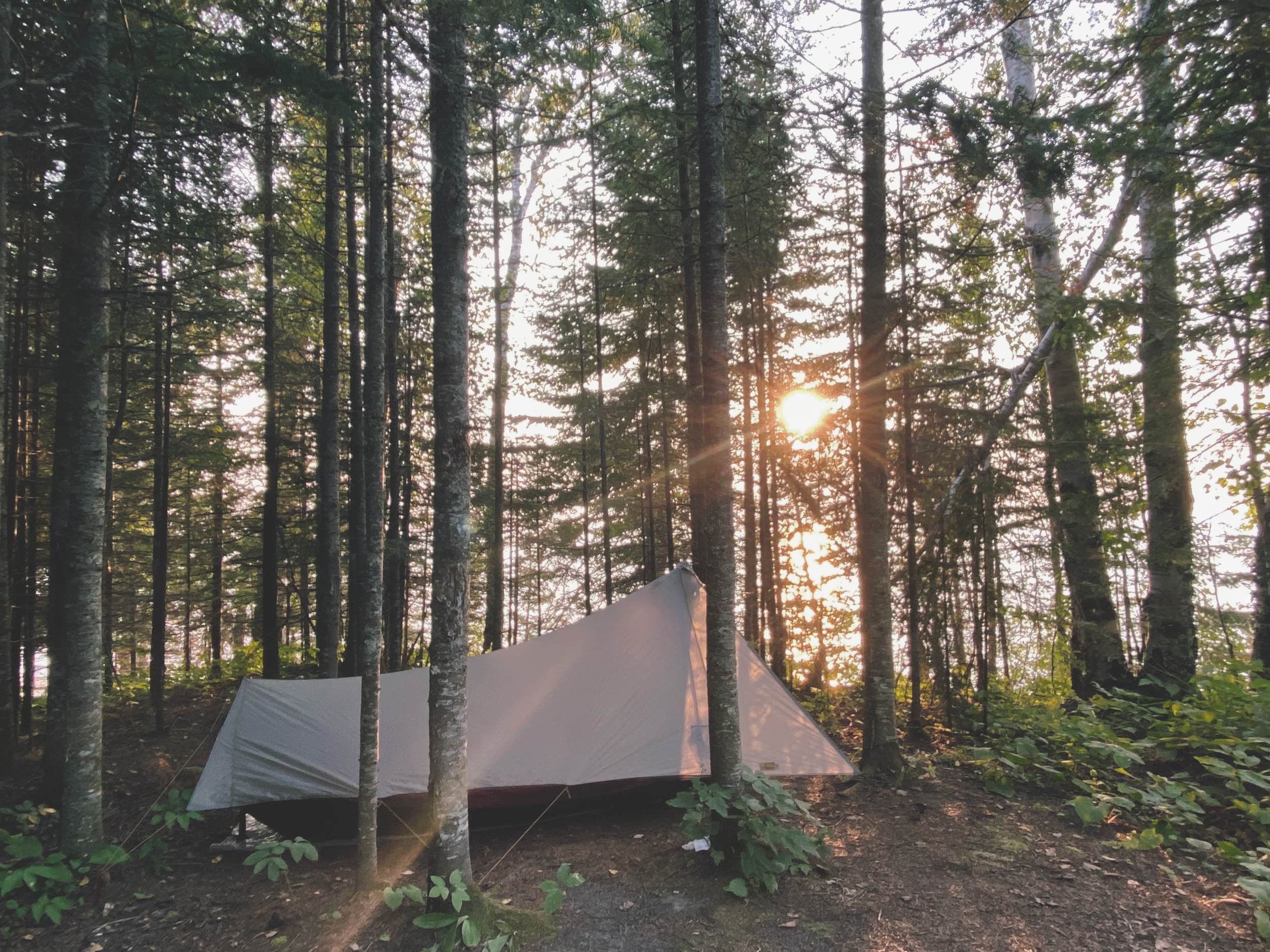 tent_2.png