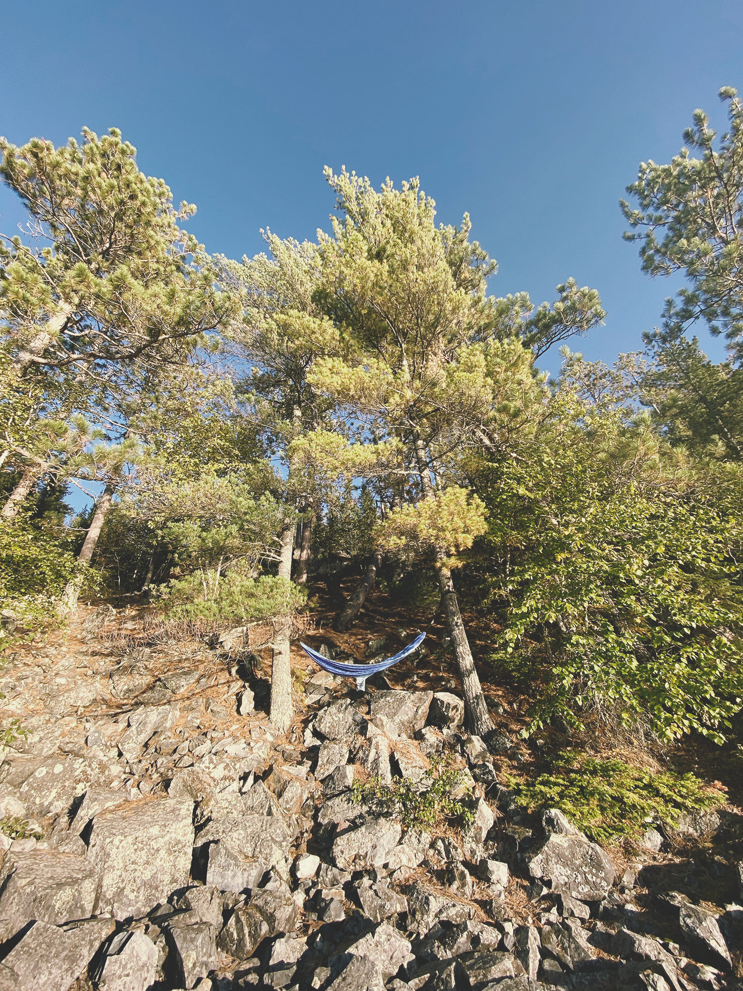 hammock.png