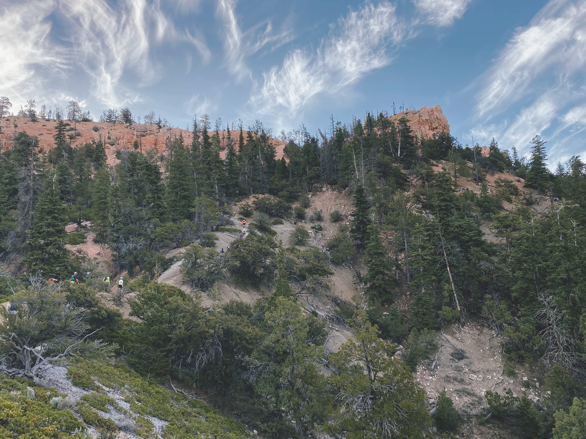 cliff_climb.png