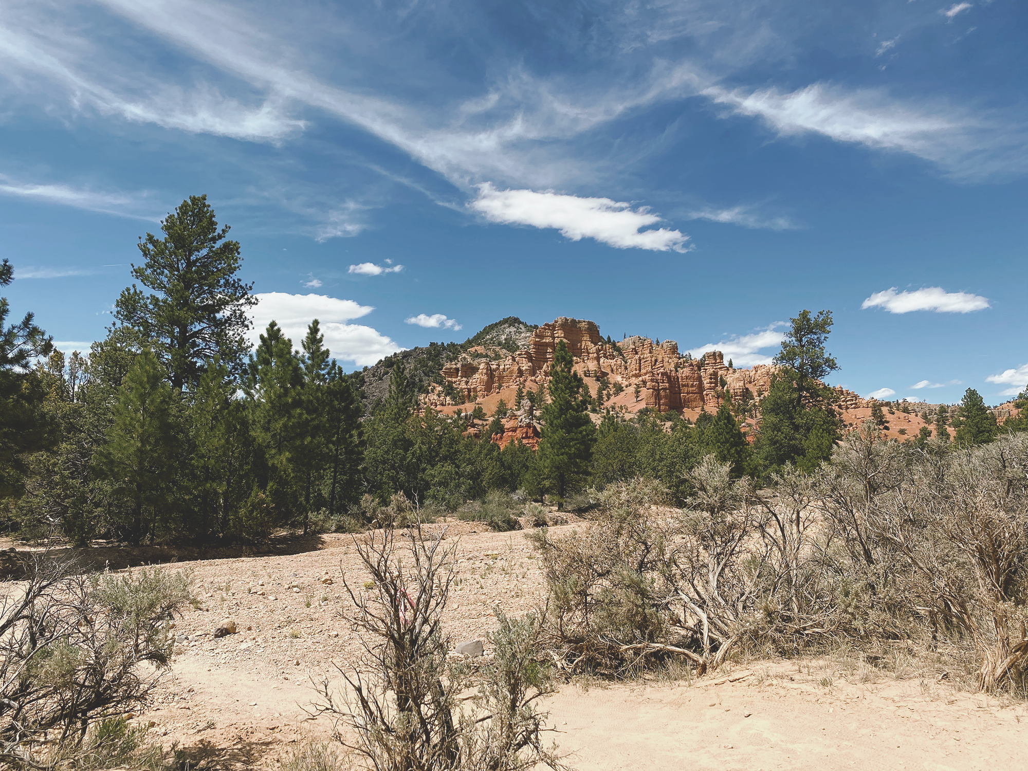 red_rocks_2.png