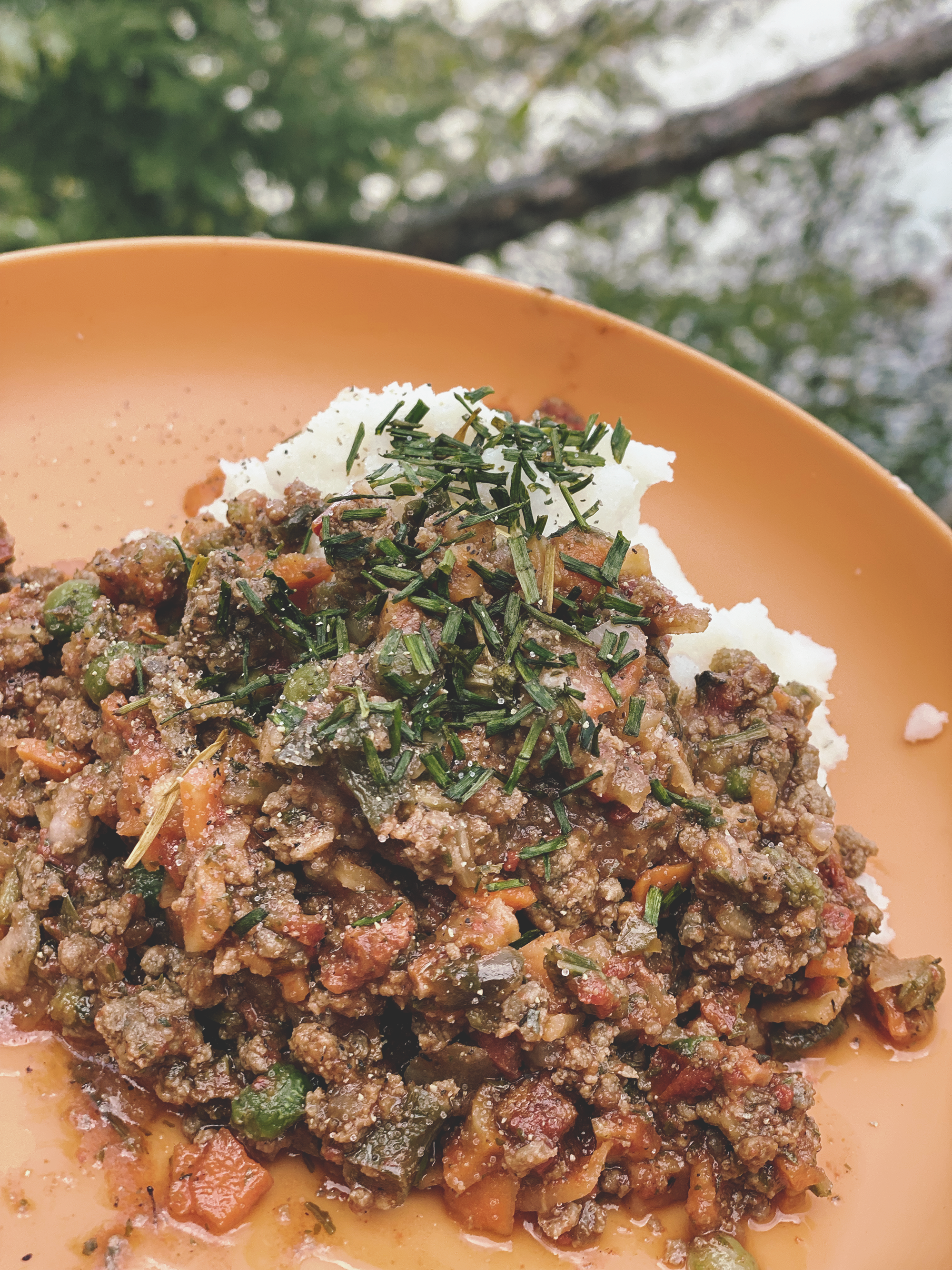 shepherds_pie.png