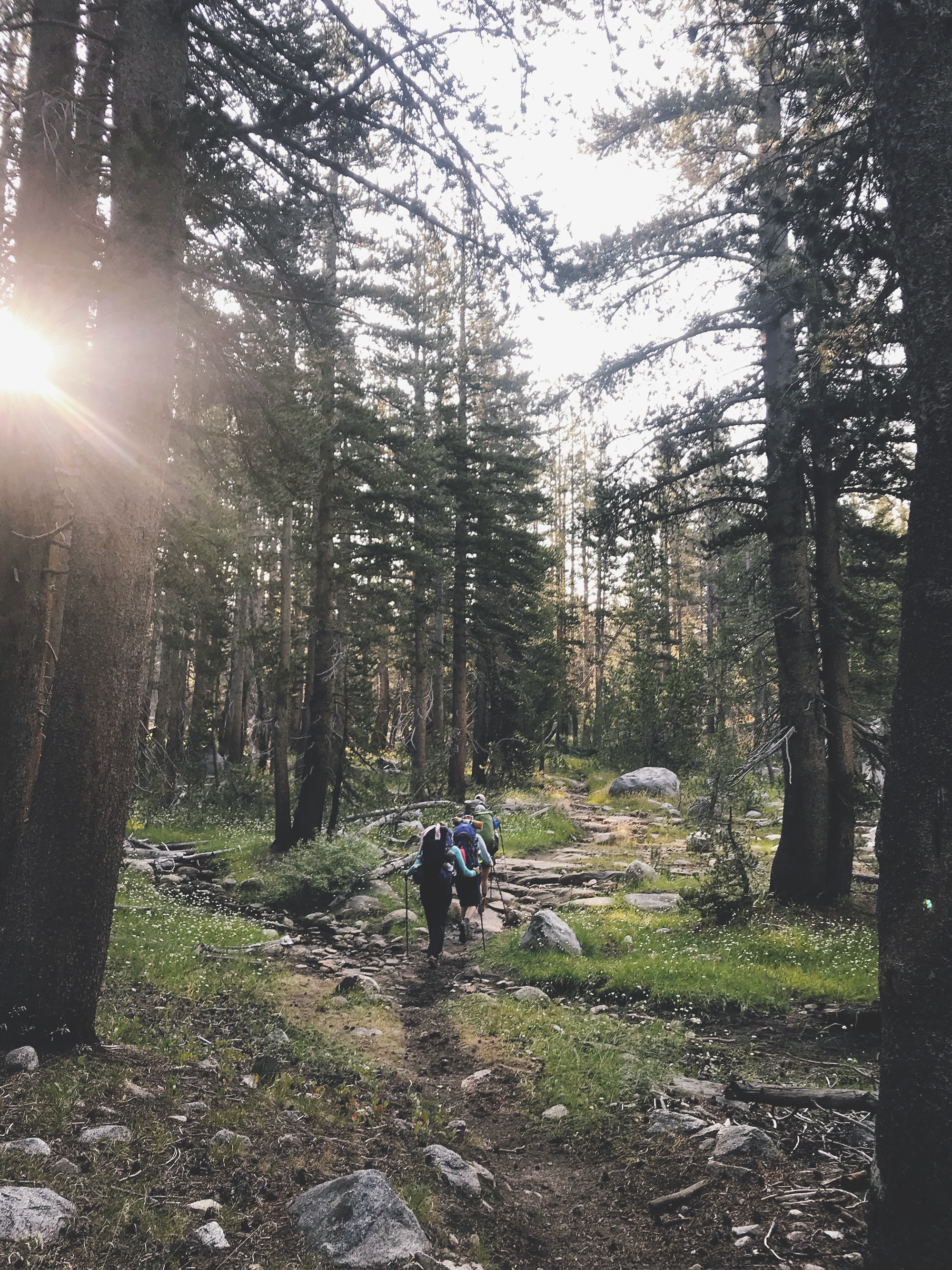 group_piute_woods.png