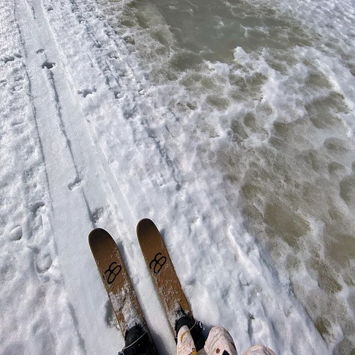 fall_musher_trail_4.jpg
