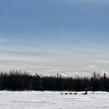 musher_1.jpg
