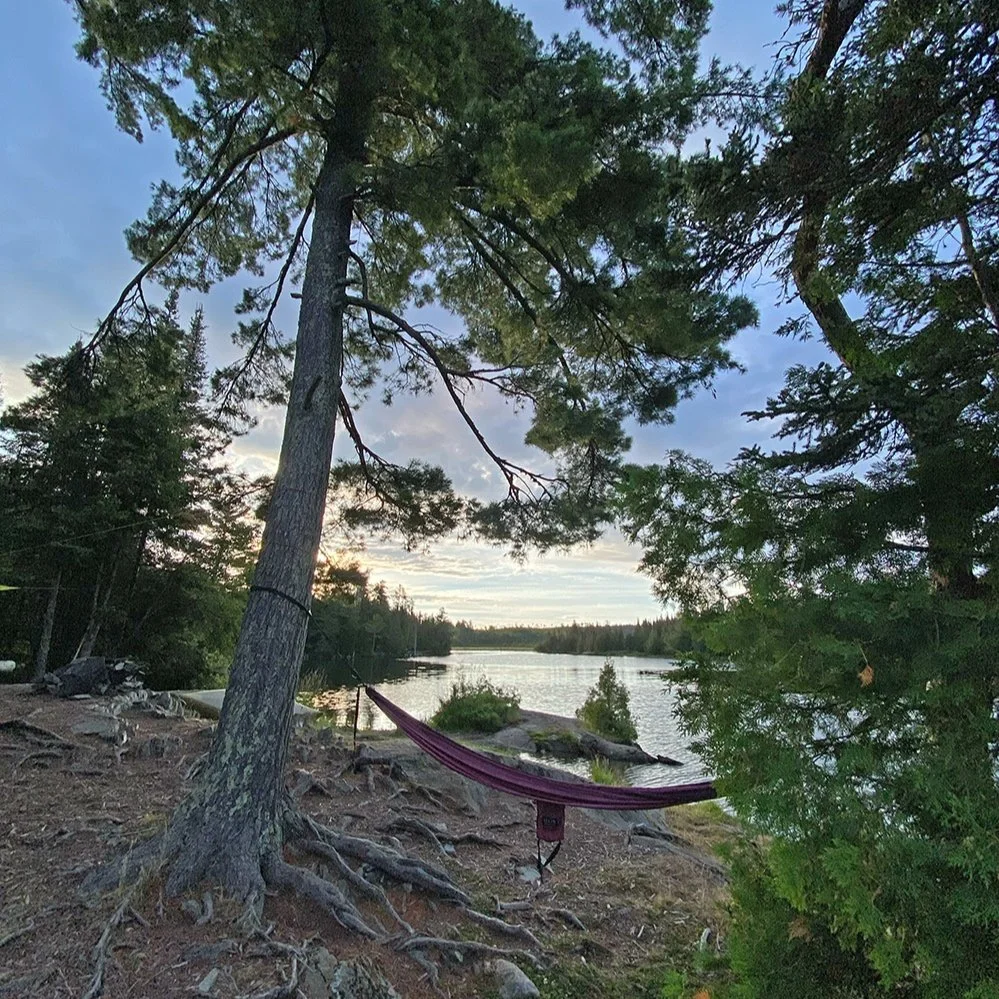 hammock.jpg