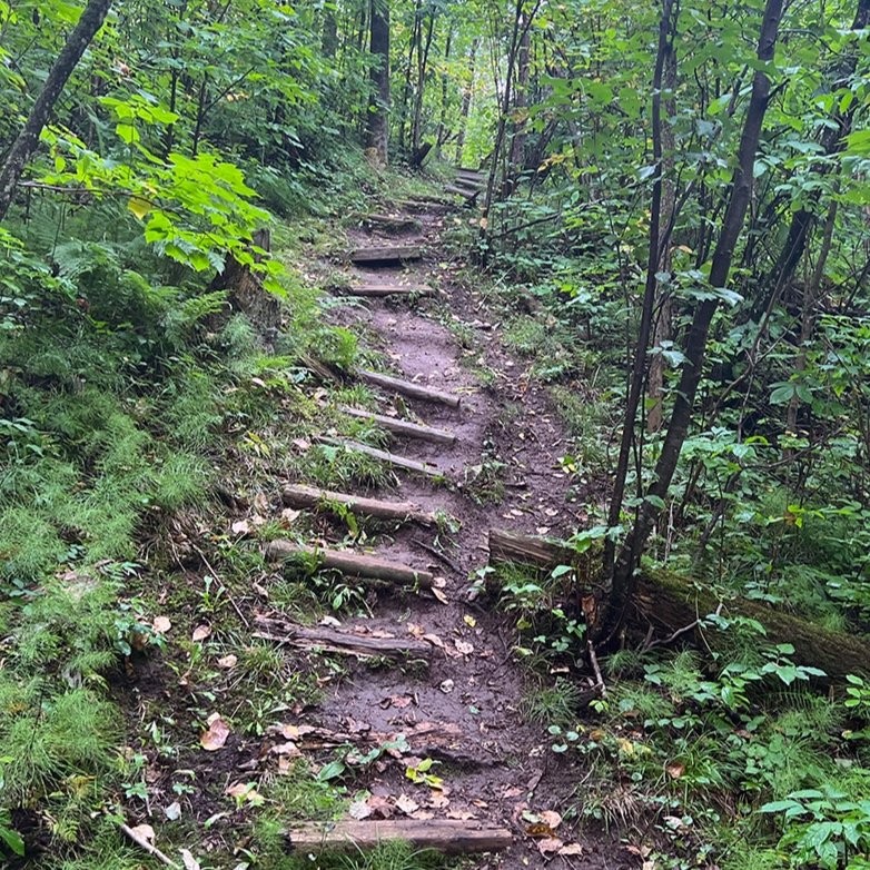 steps_1.jpg